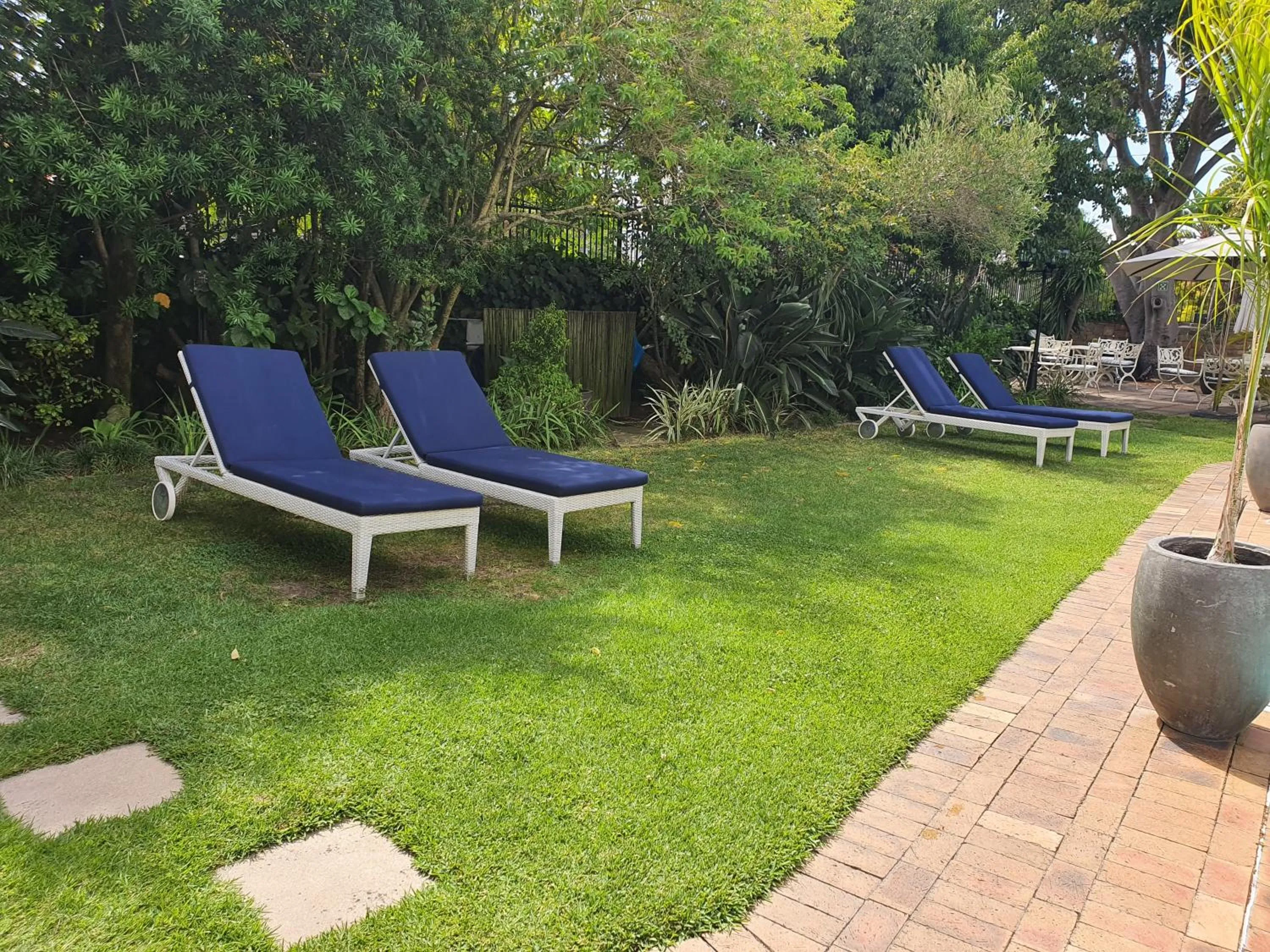 Garden in Wild Olive Guest House & Villa