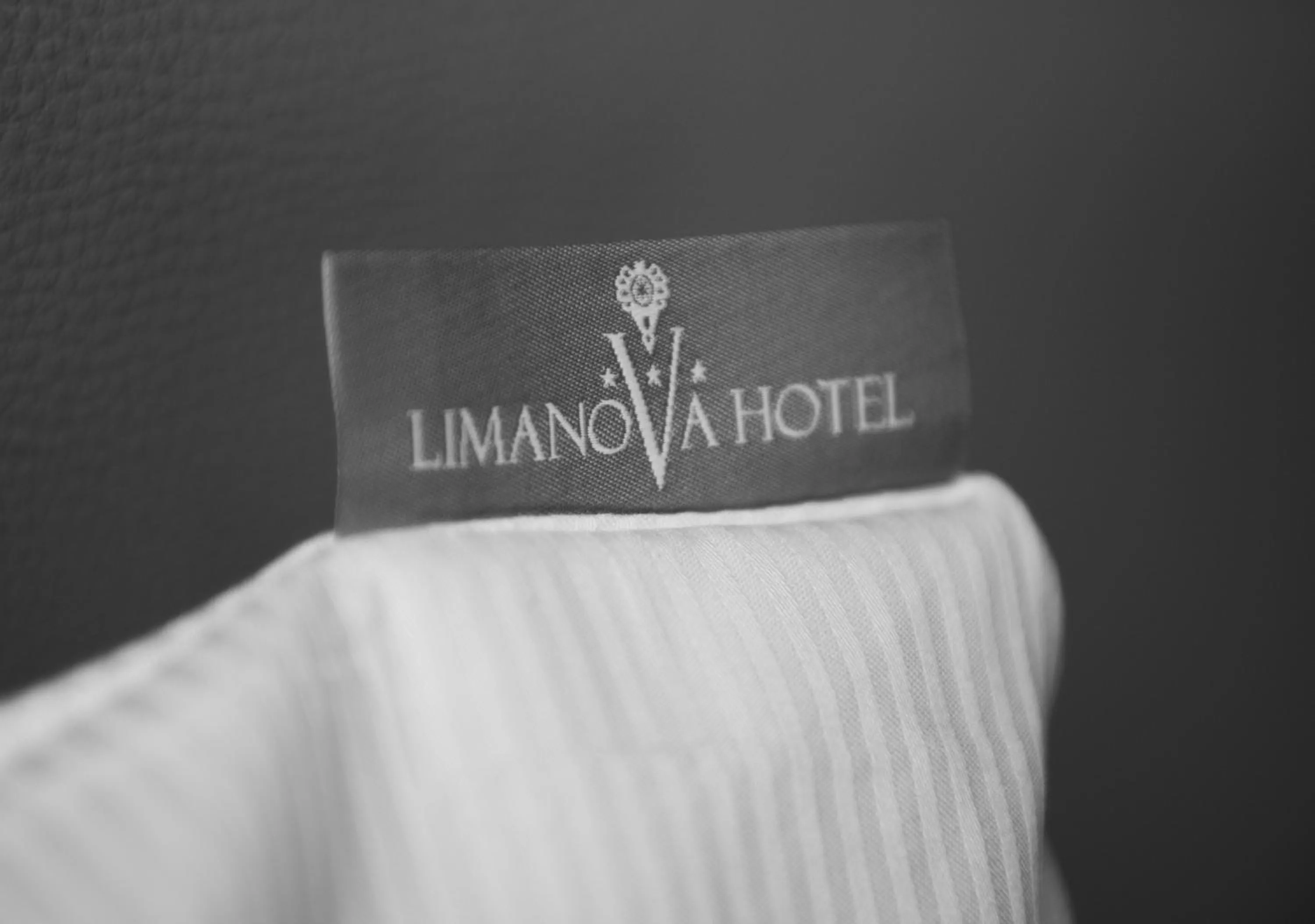 Property logo or sign in Hotel Limanova