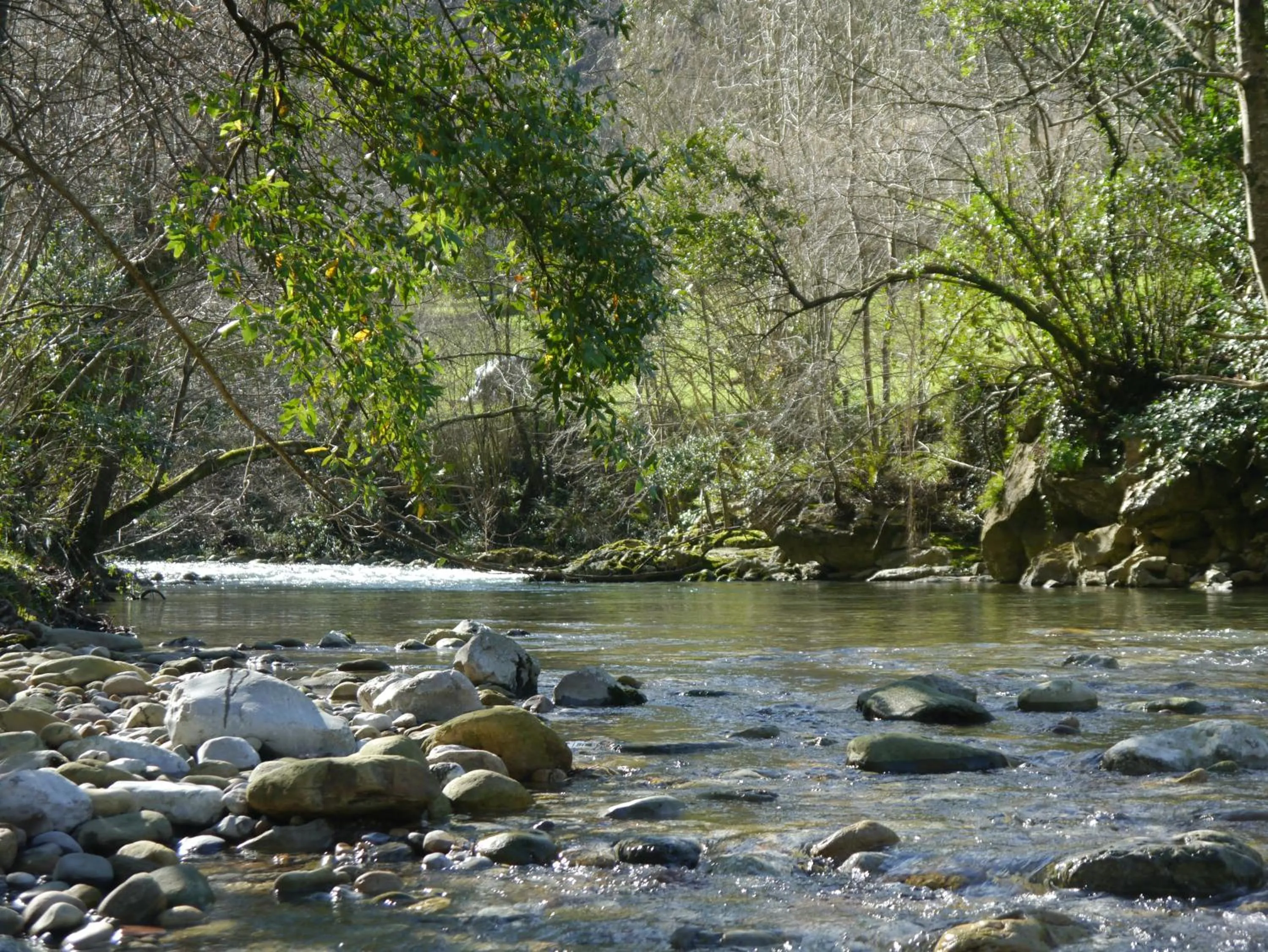 Natural landscape in Posada 3 Valles