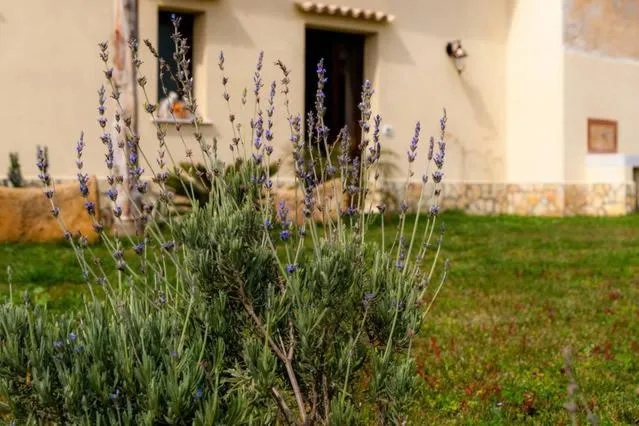 Garden view in B&B Solesun