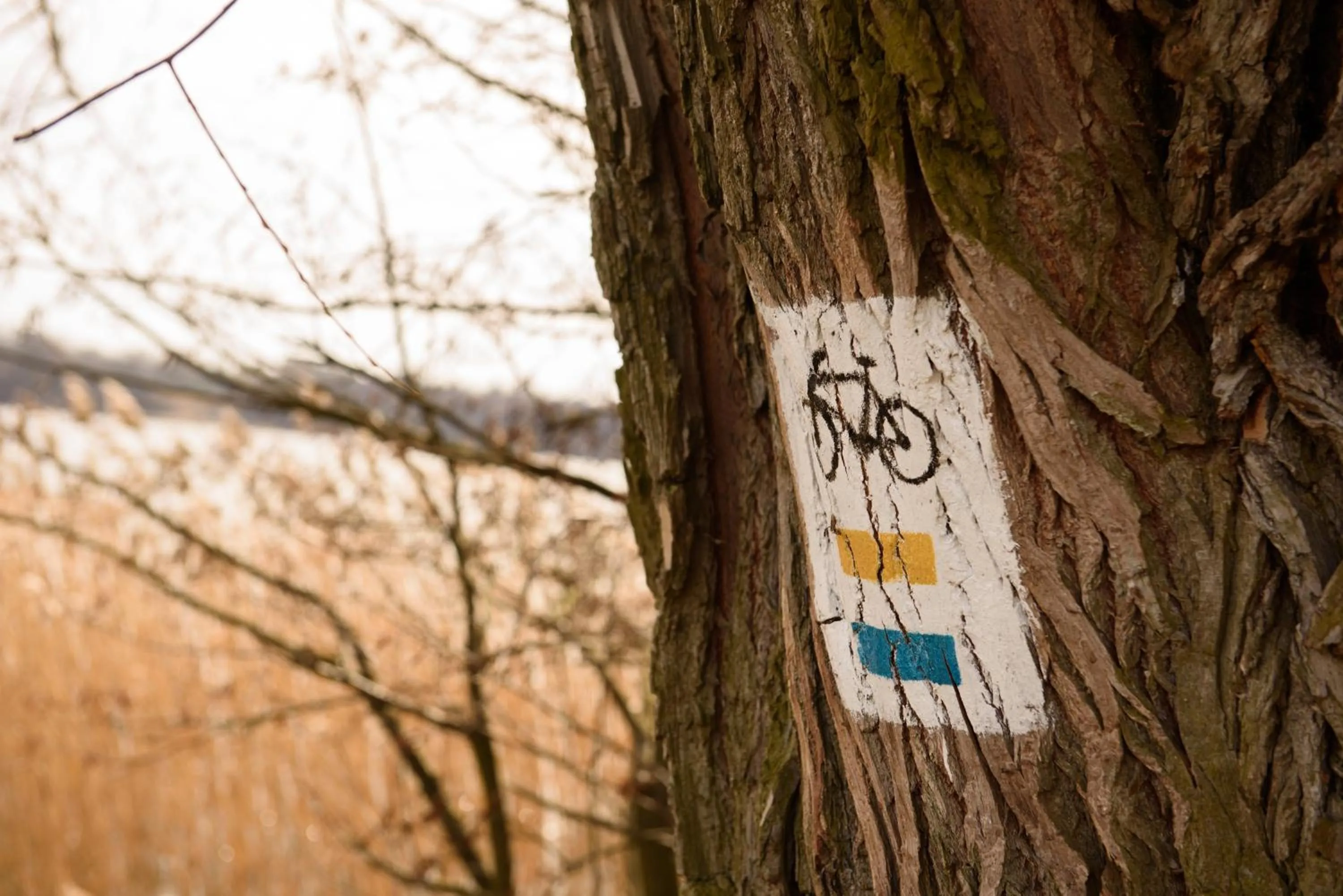 Cycling in Apartamenty Szelągówka, Sun & Snow