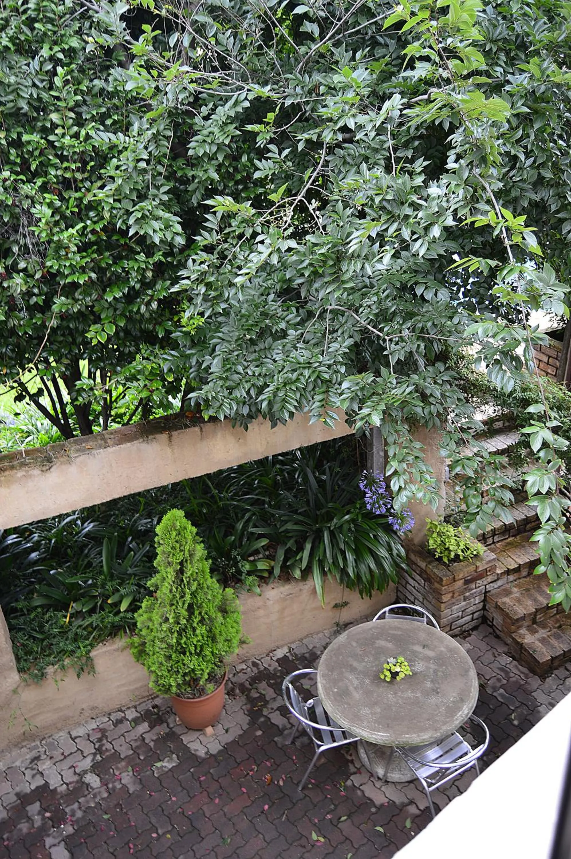Patio in Constantia Manor Guest House