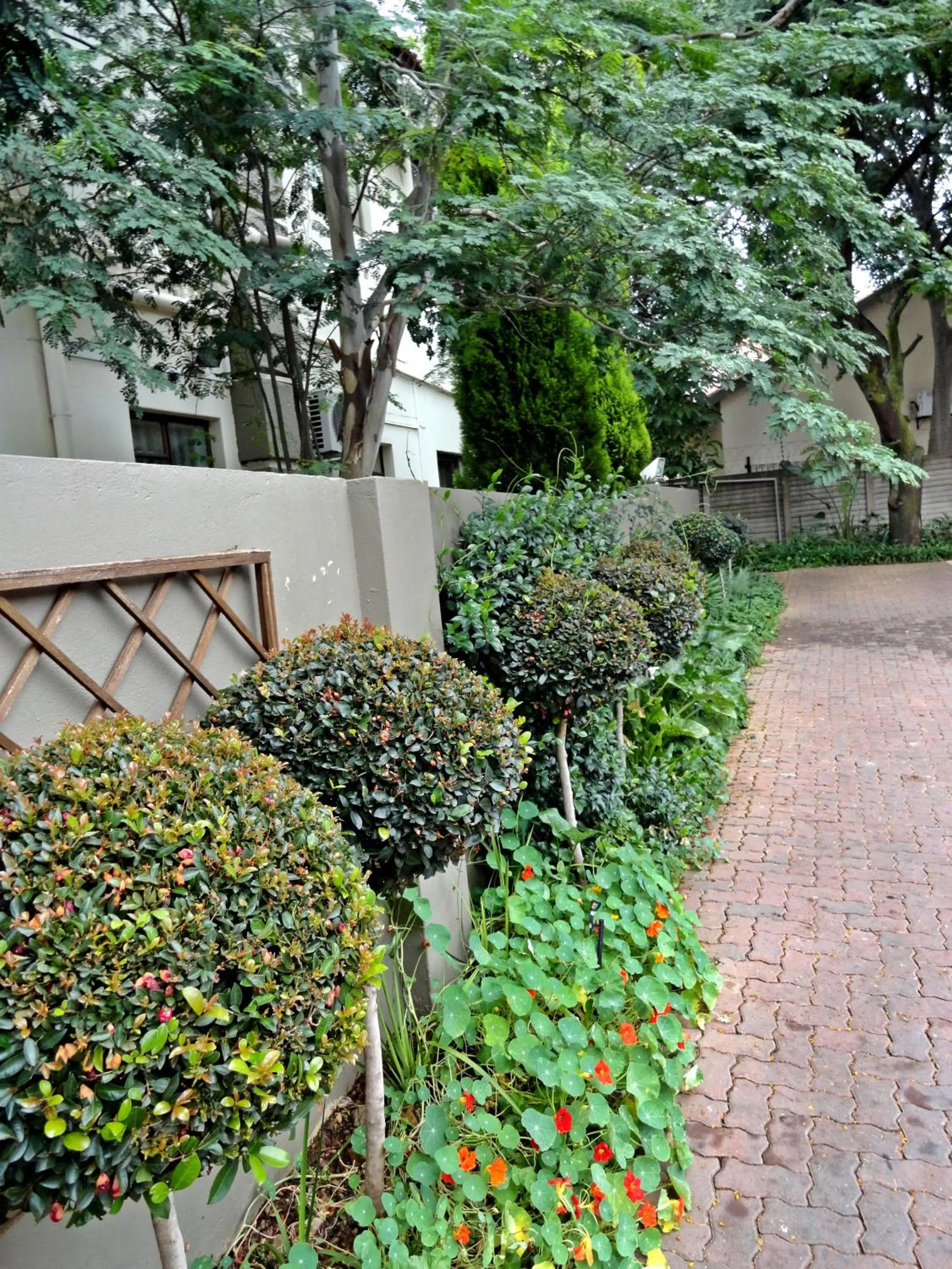 Spring in Constantia Manor Guest House