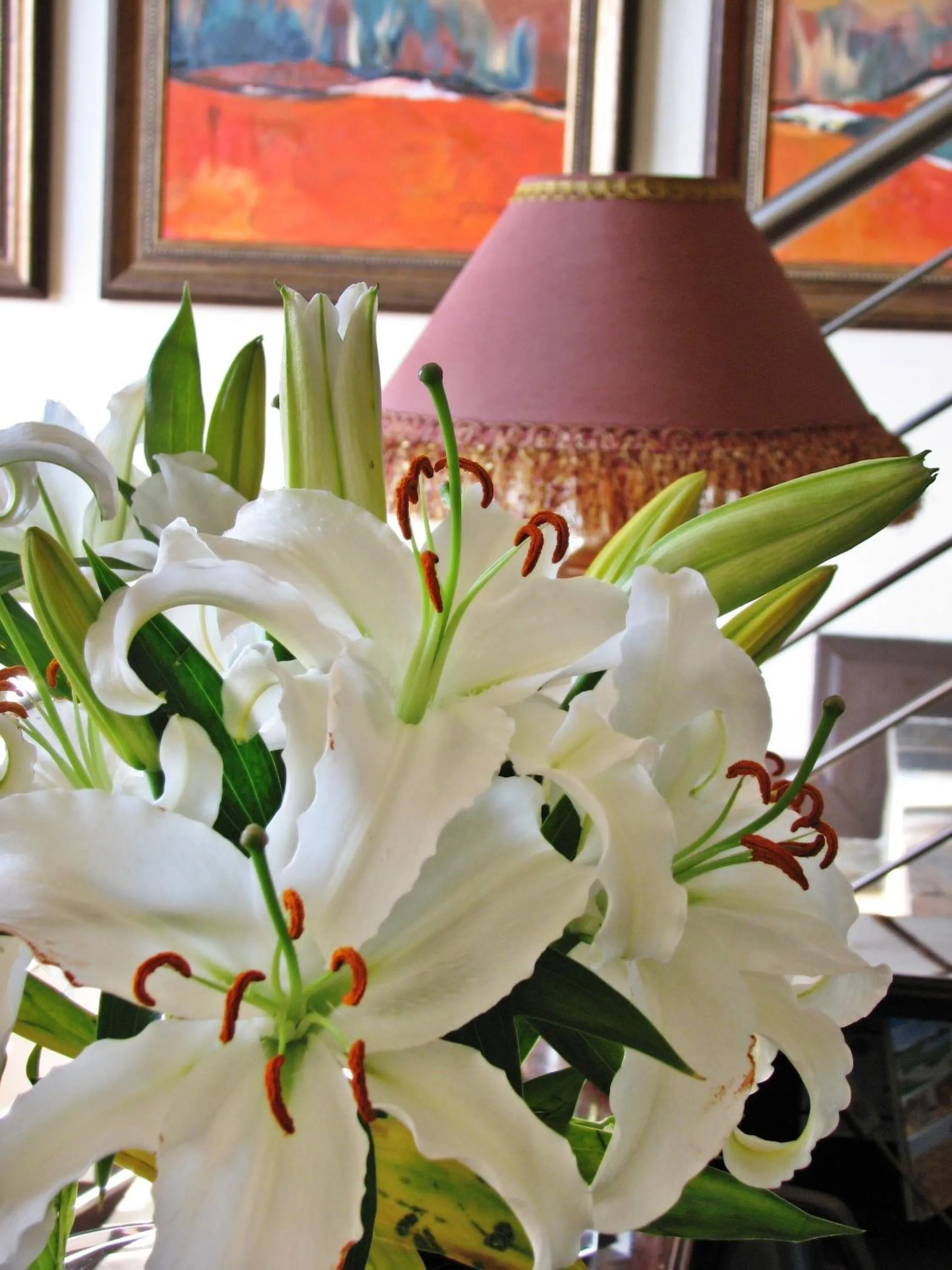 Lobby or reception in Constantia Manor Guest House