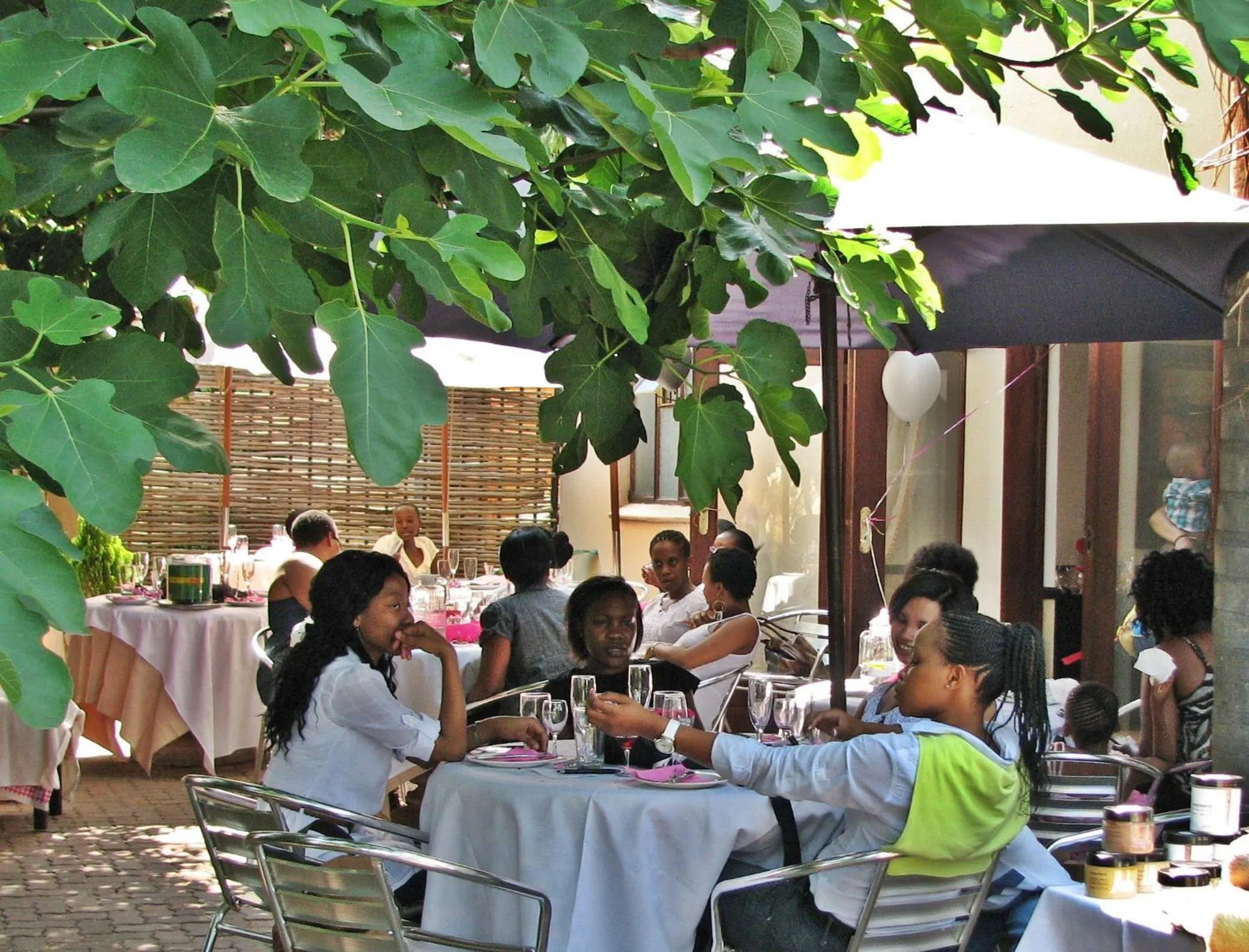 Garden in Constantia Manor Guest House