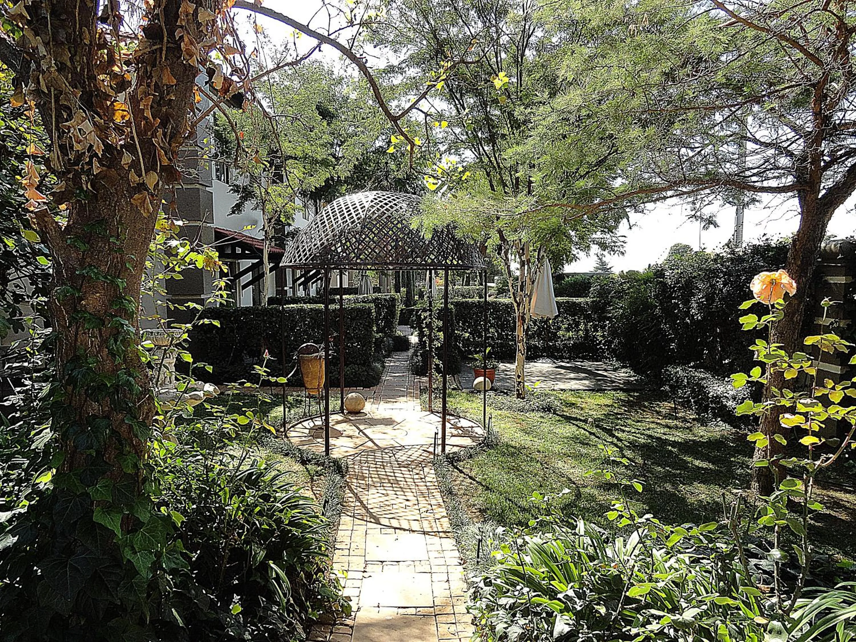 Garden in Constantia Manor Guest House