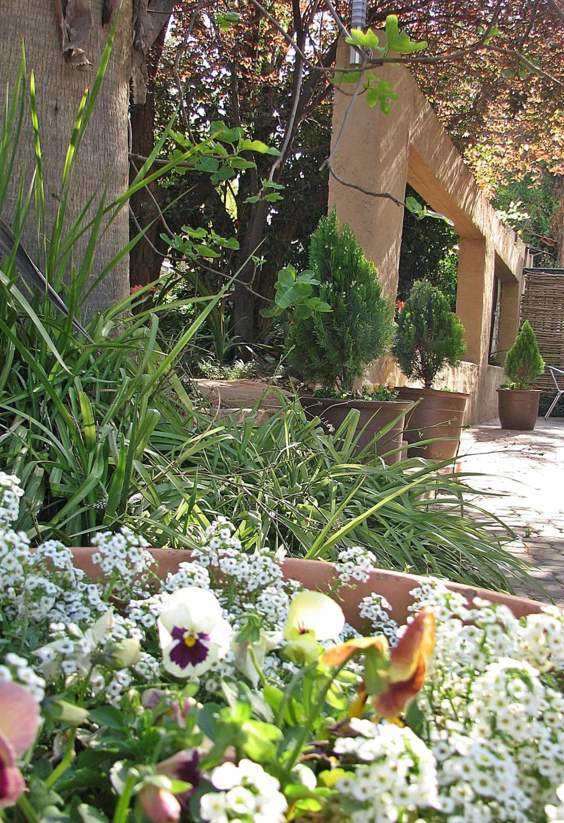 Garden in Constantia Manor Guest House
