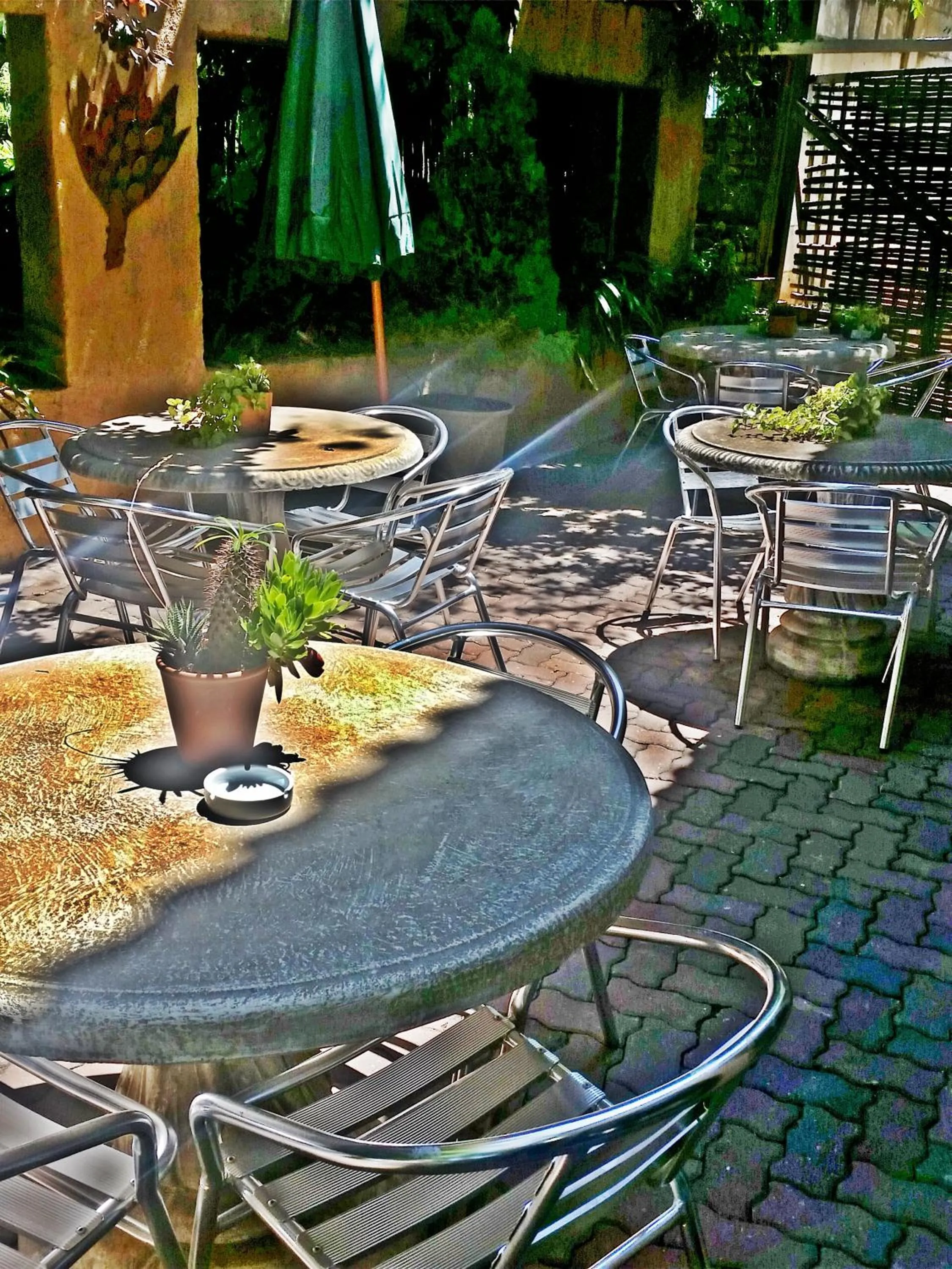 Garden view in Constantia Manor Guest House