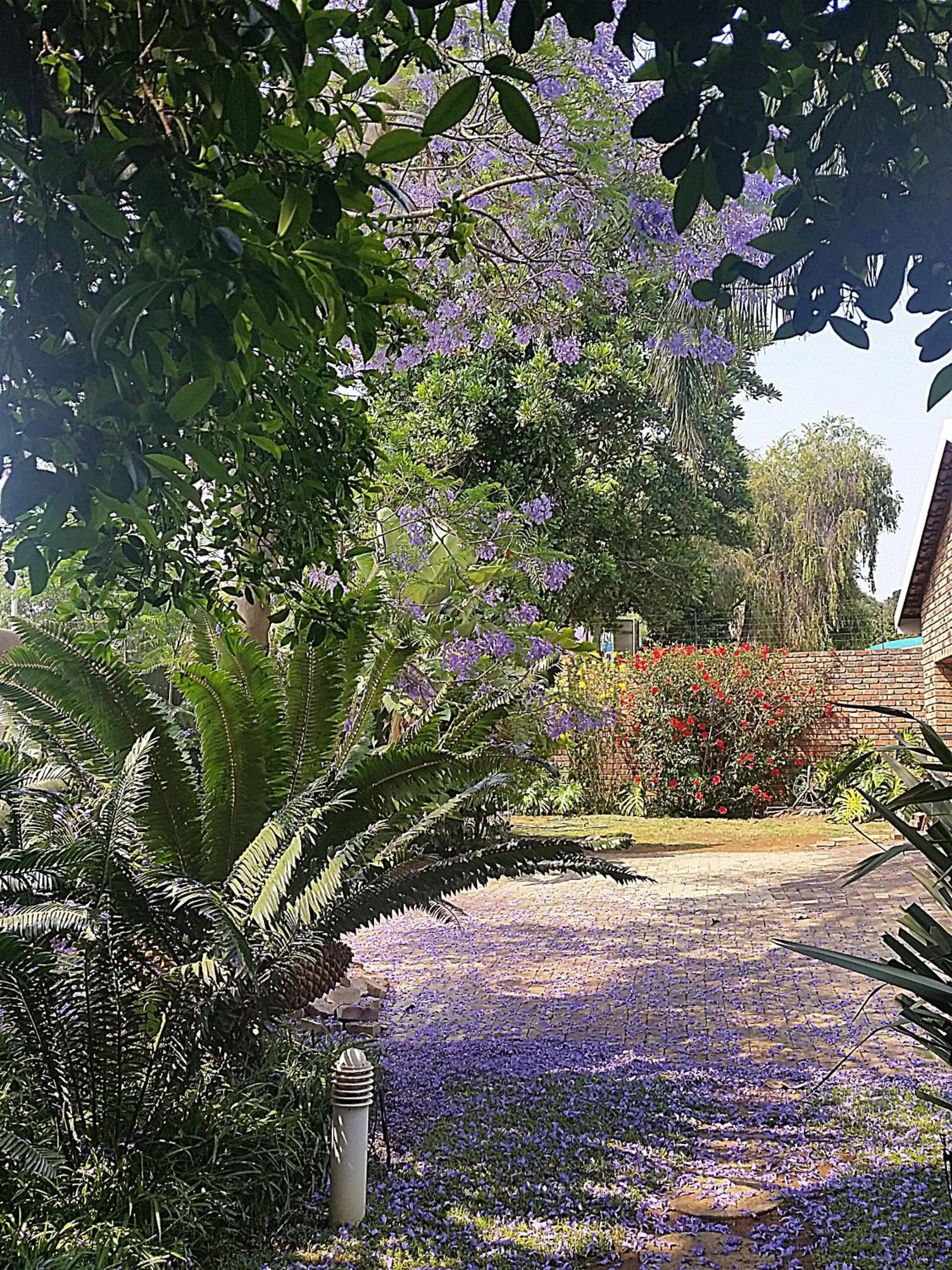 Garden in Constantia Manor Guest House