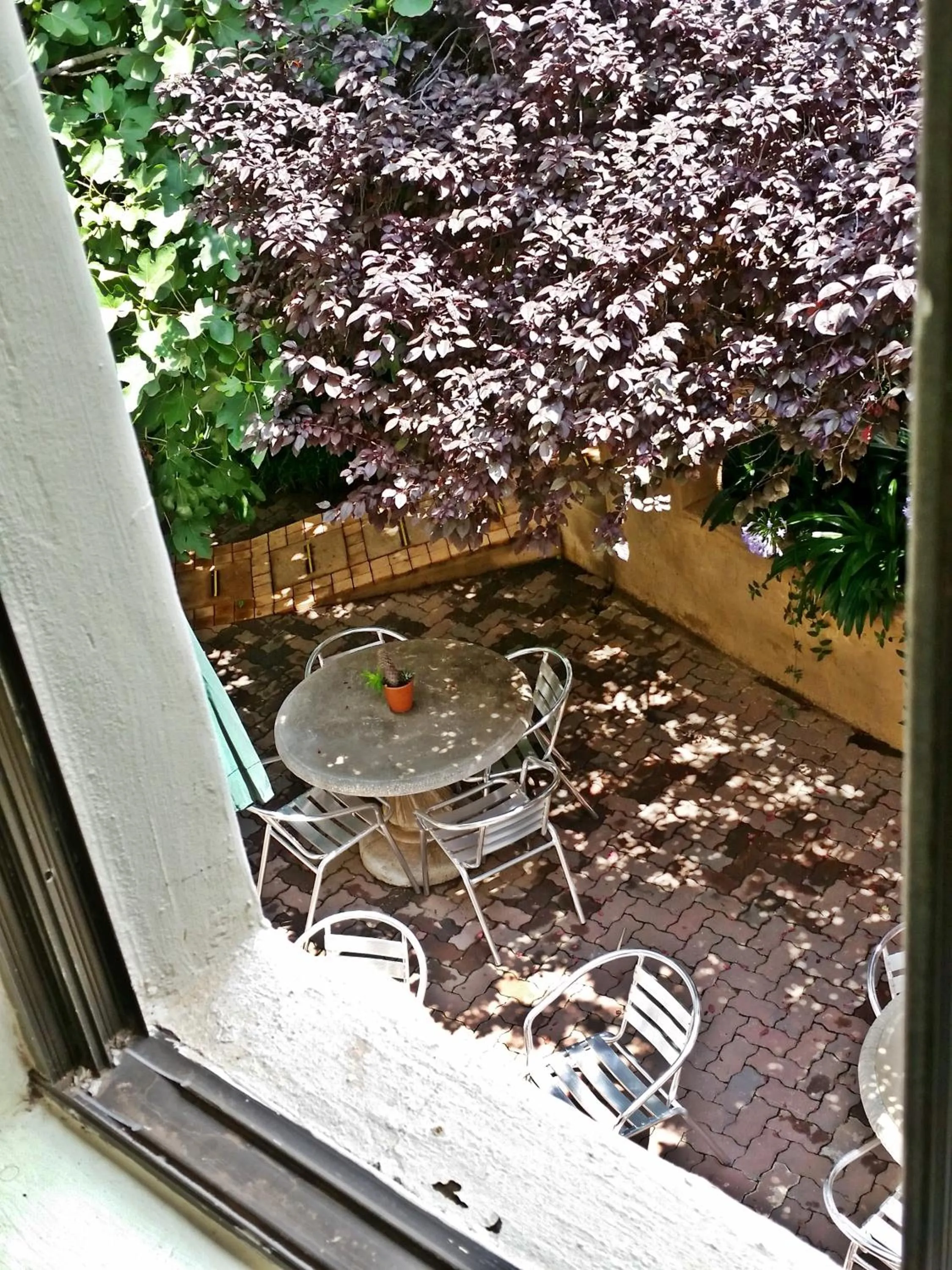 Garden in Constantia Manor Guest House