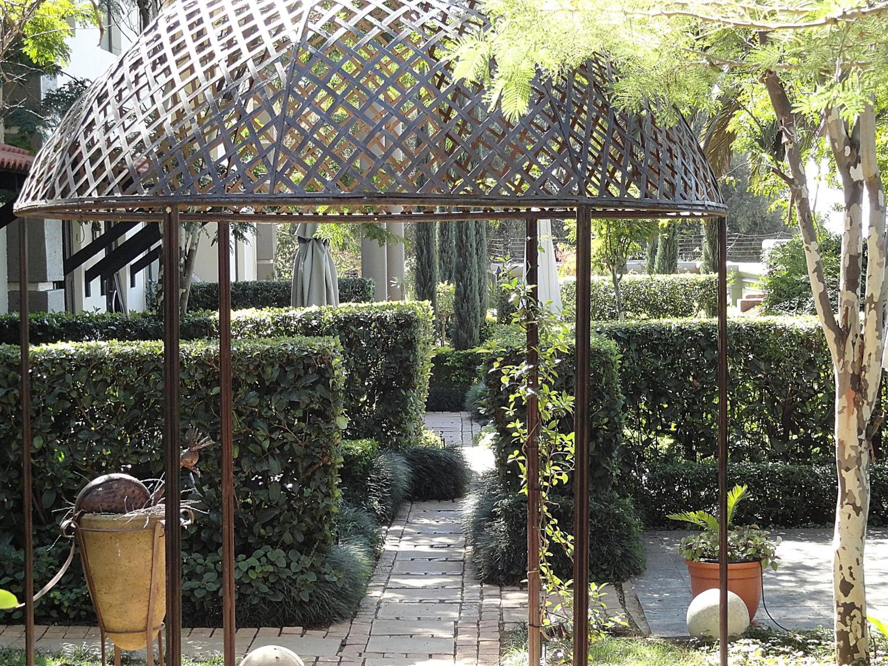 Garden in Constantia Manor Guest House