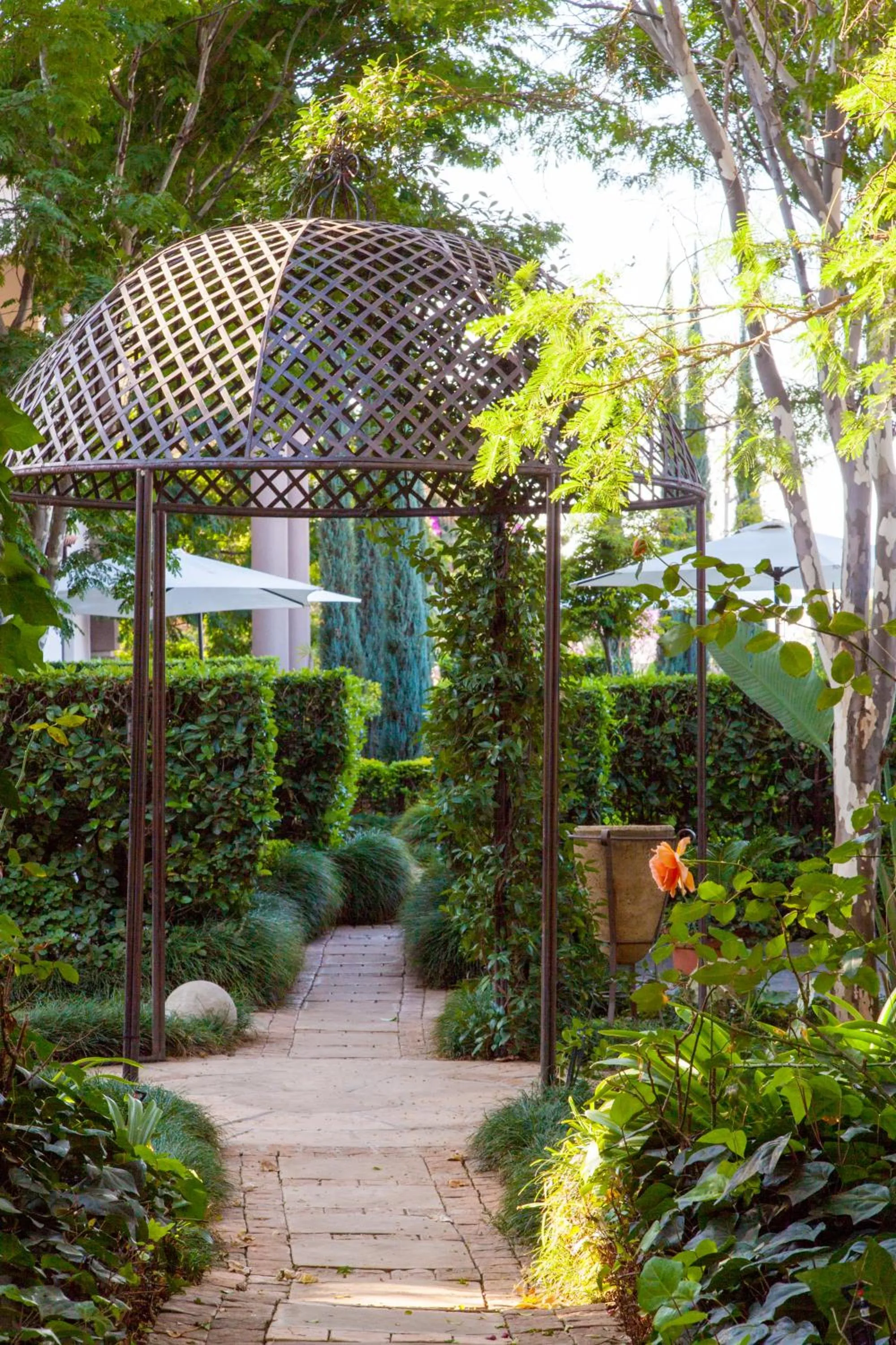 Garden in Constantia Manor Guest House