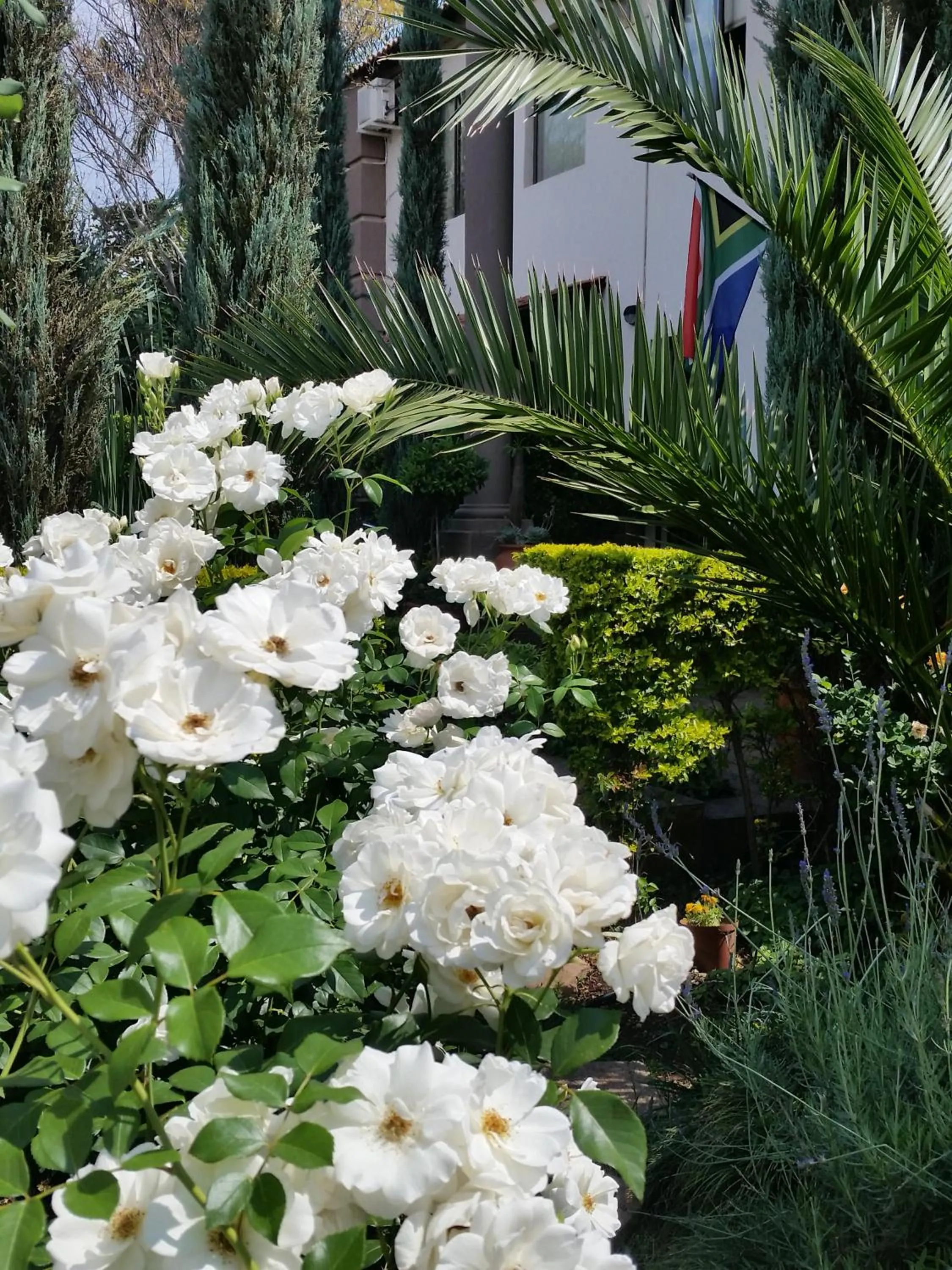 Garden in Constantia Manor Guest House