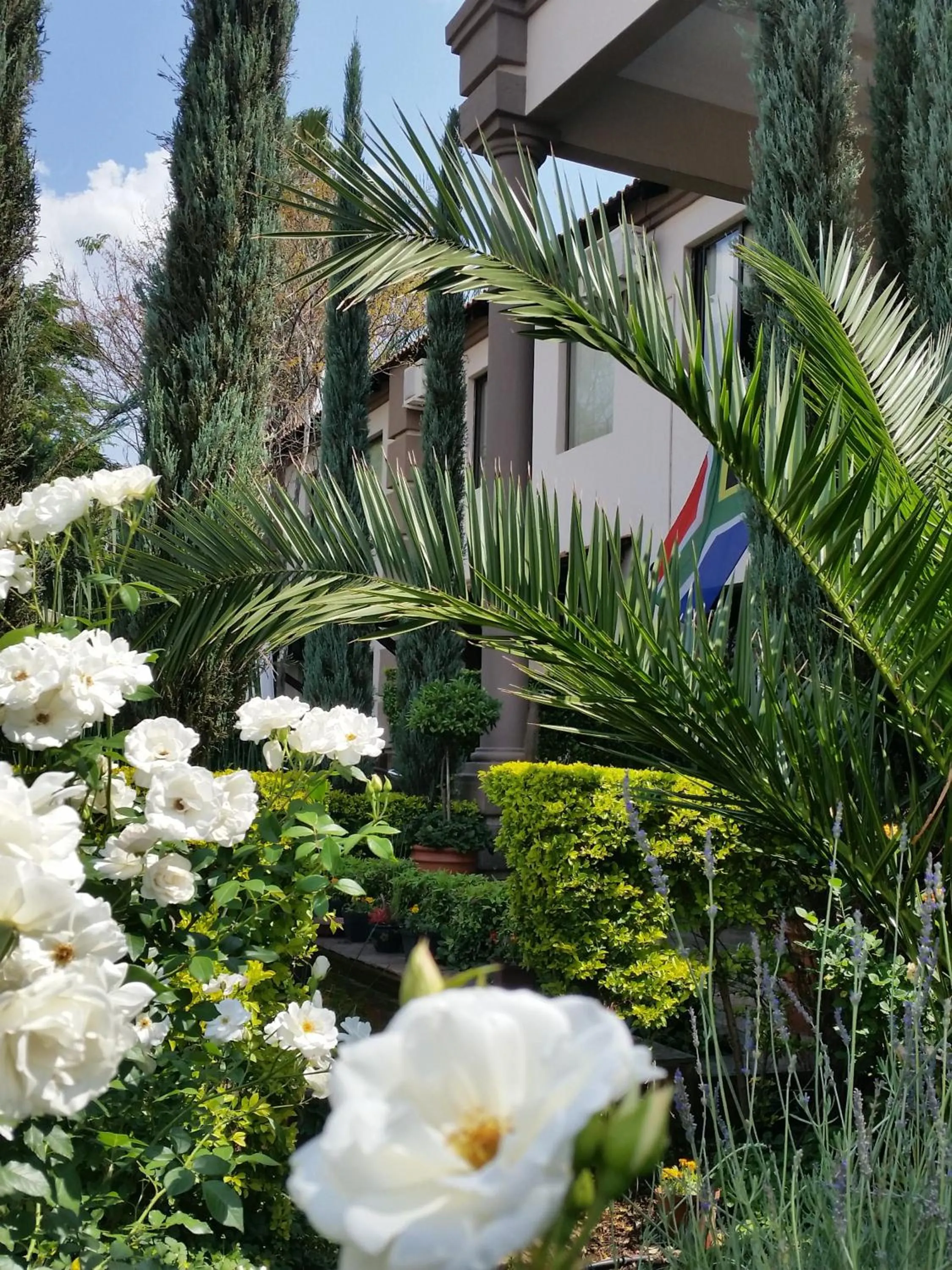 Garden in Constantia Manor Guest House