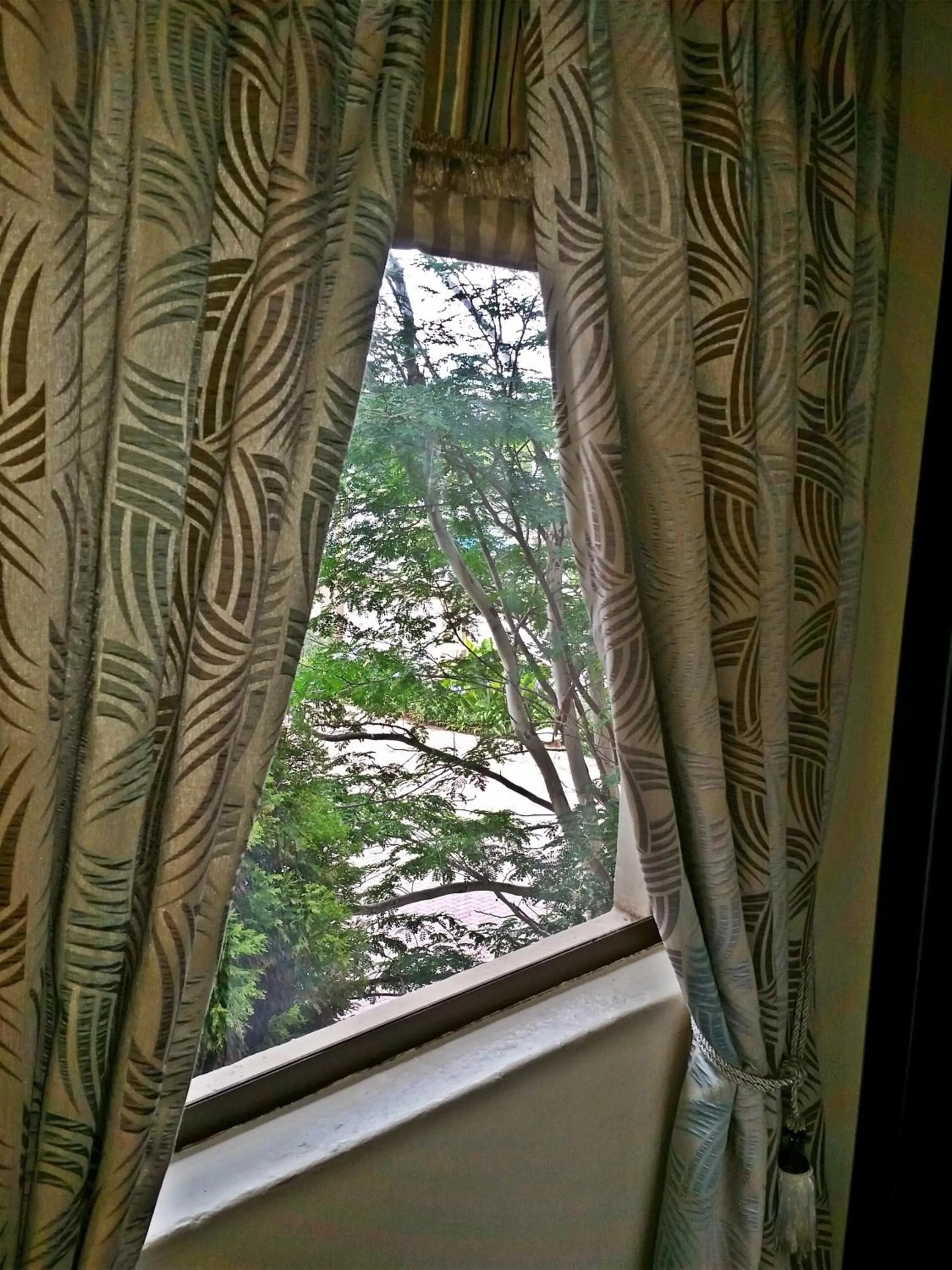 View (from property/room) in Constantia Manor Guest House