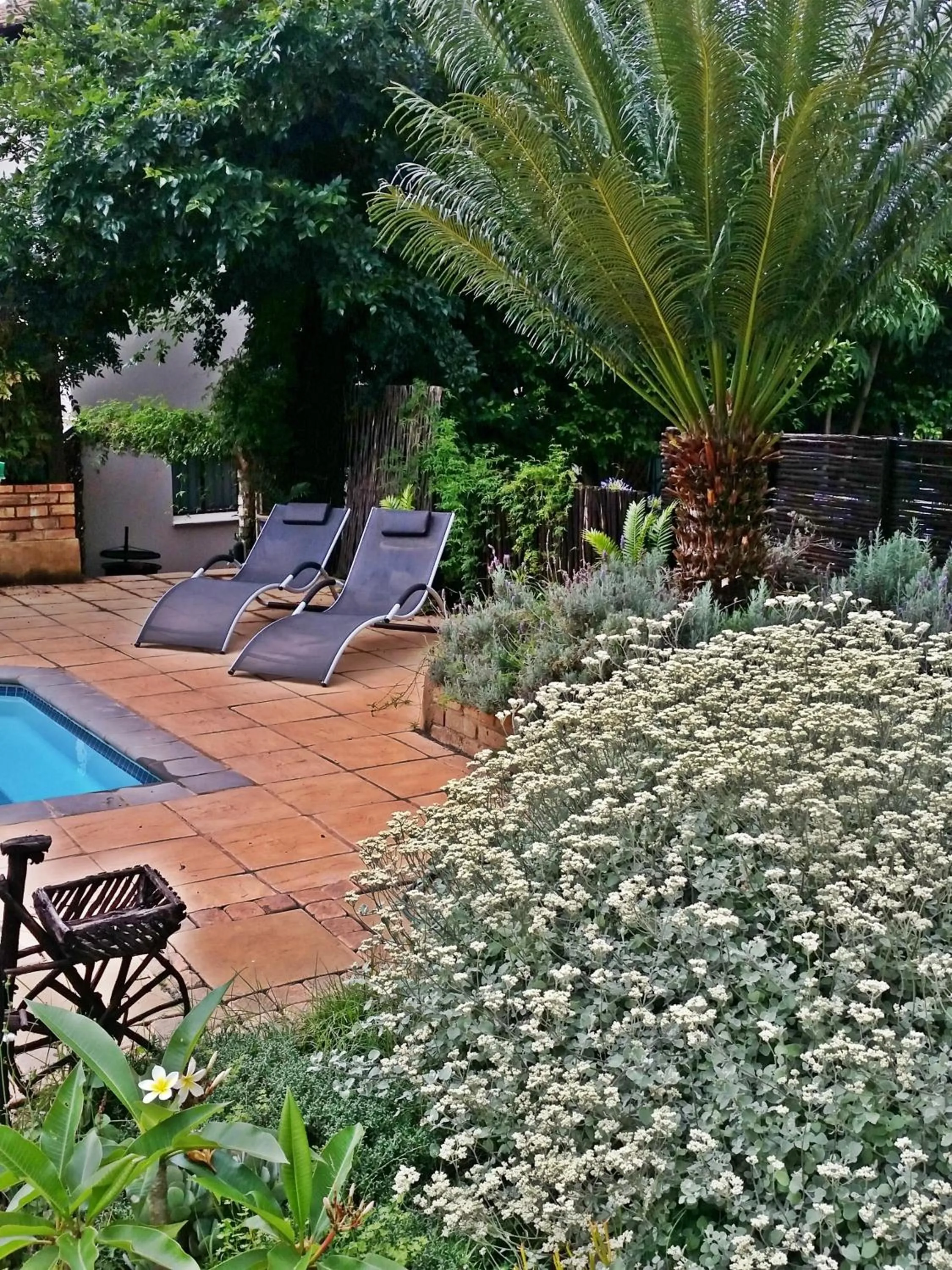 Garden in Constantia Manor Guest House