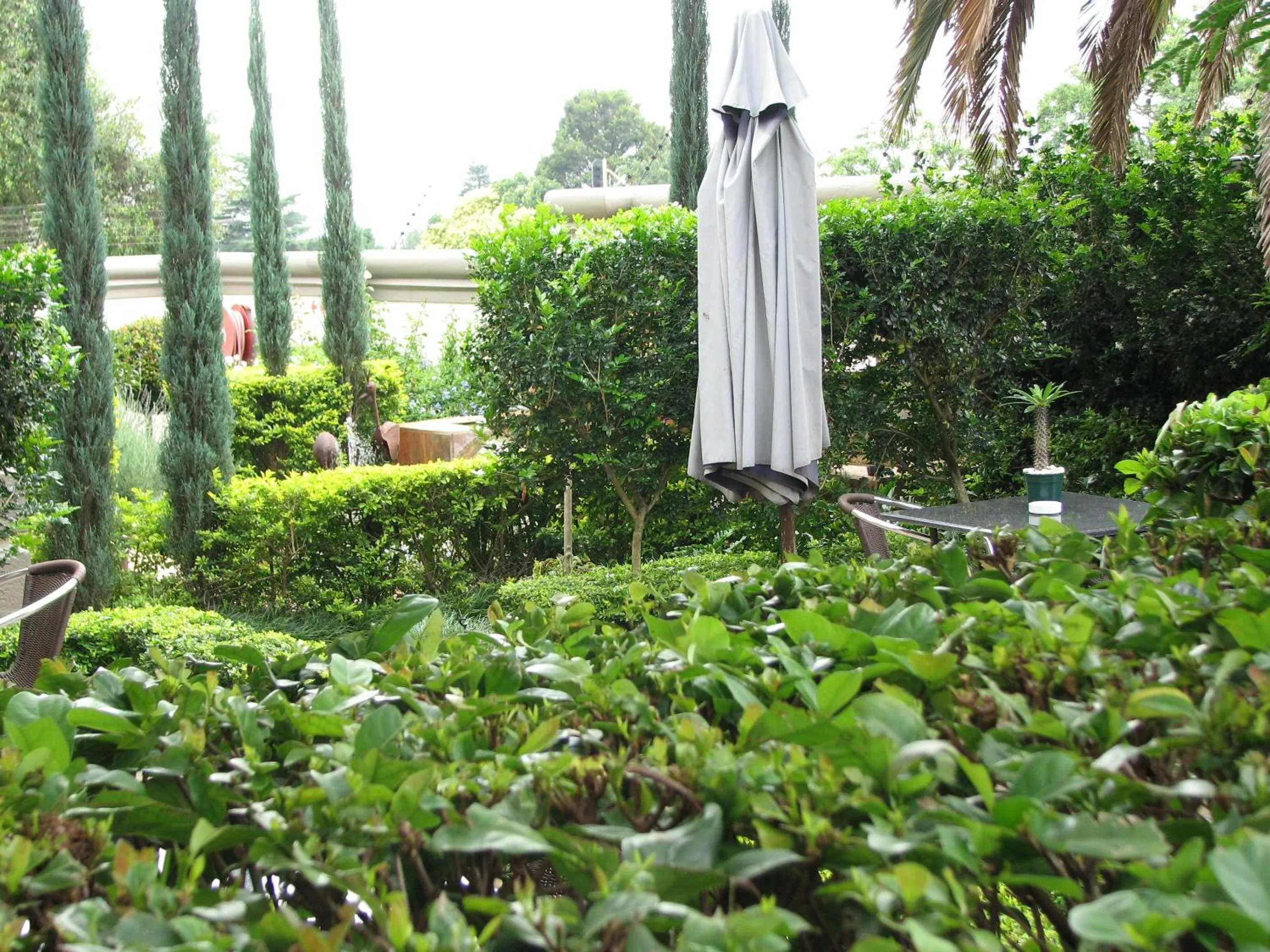 Garden in Constantia Manor Guest House