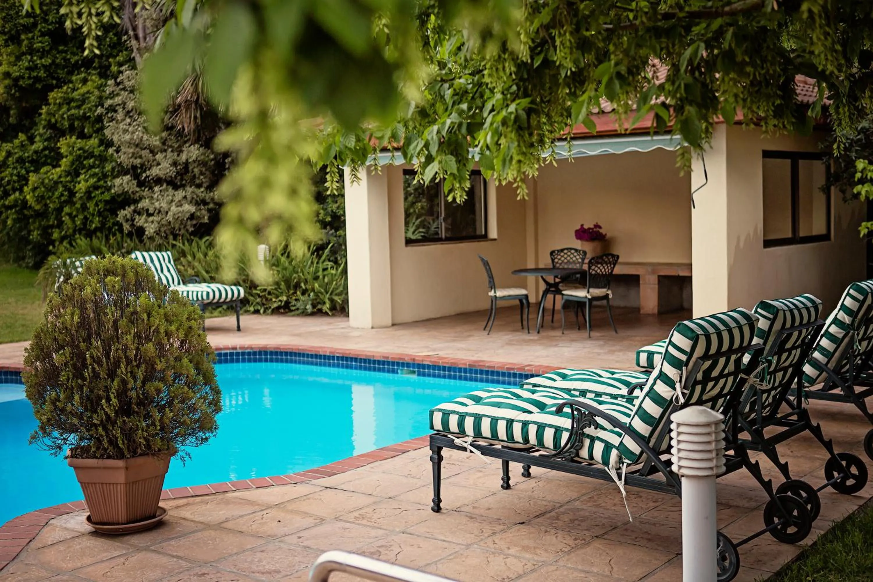 Pool view in Oak Tree Lodge