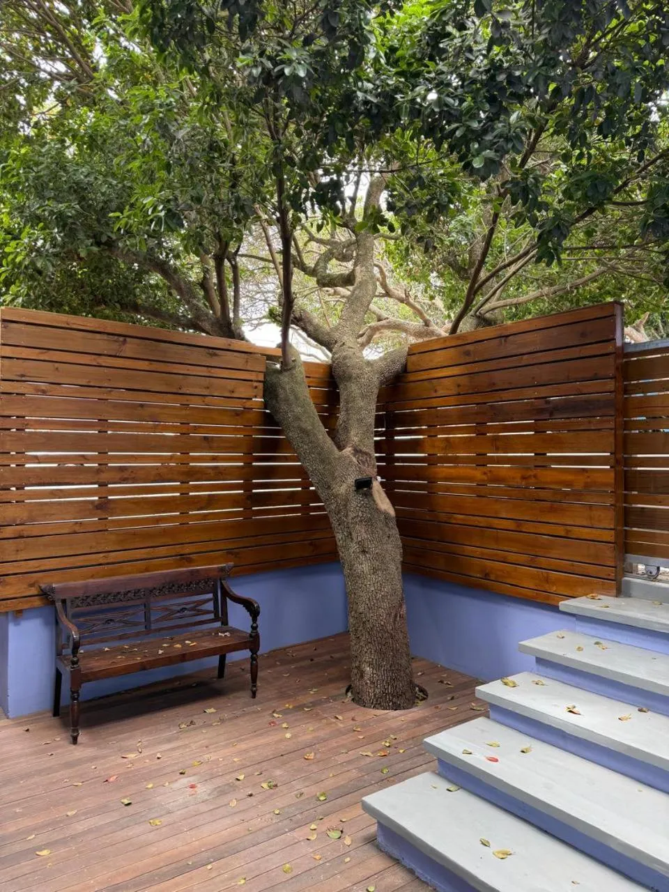 Lobby or reception in Sea Paradise