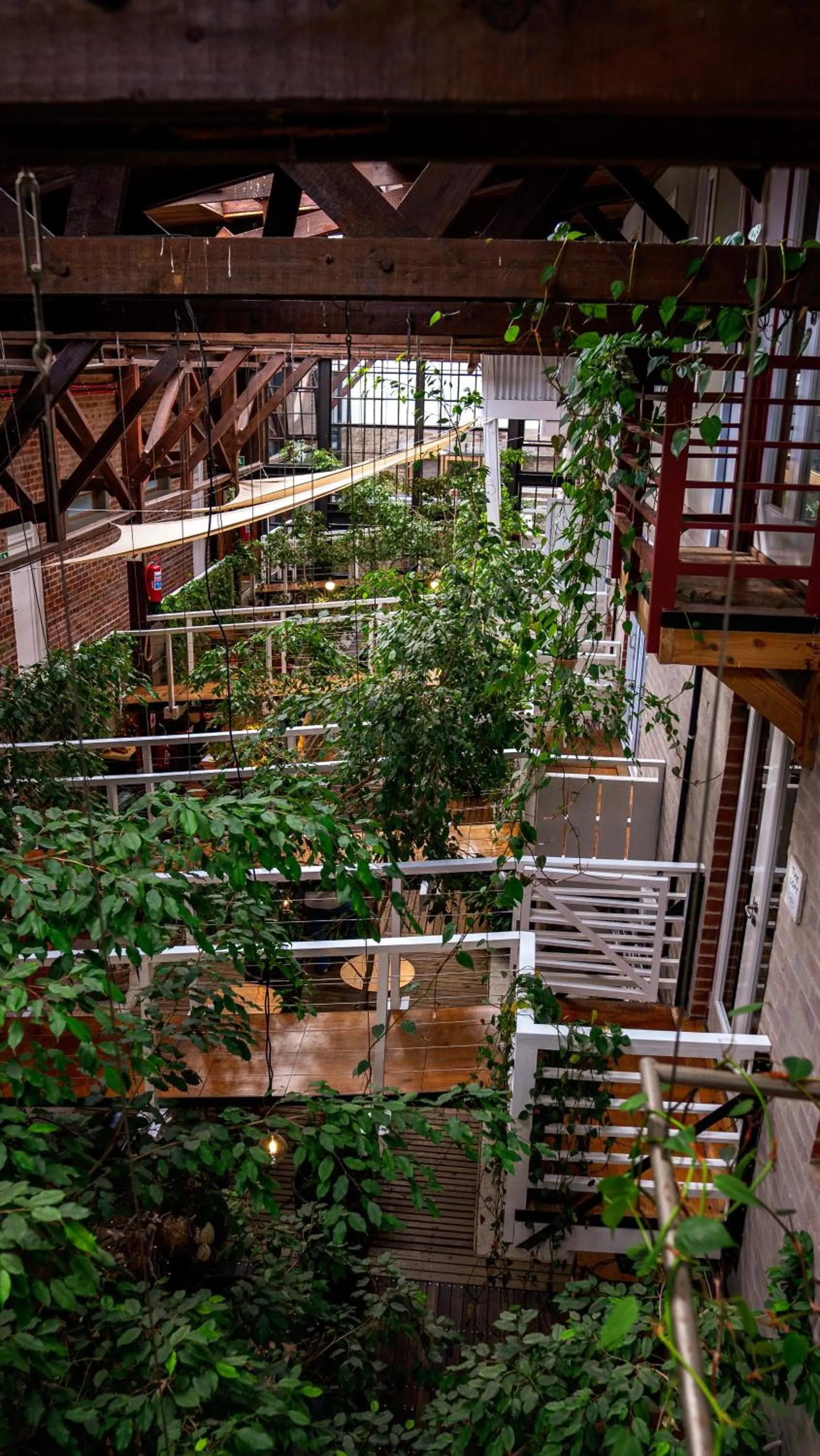 Natural landscape in The Lofts Boutique Hotel