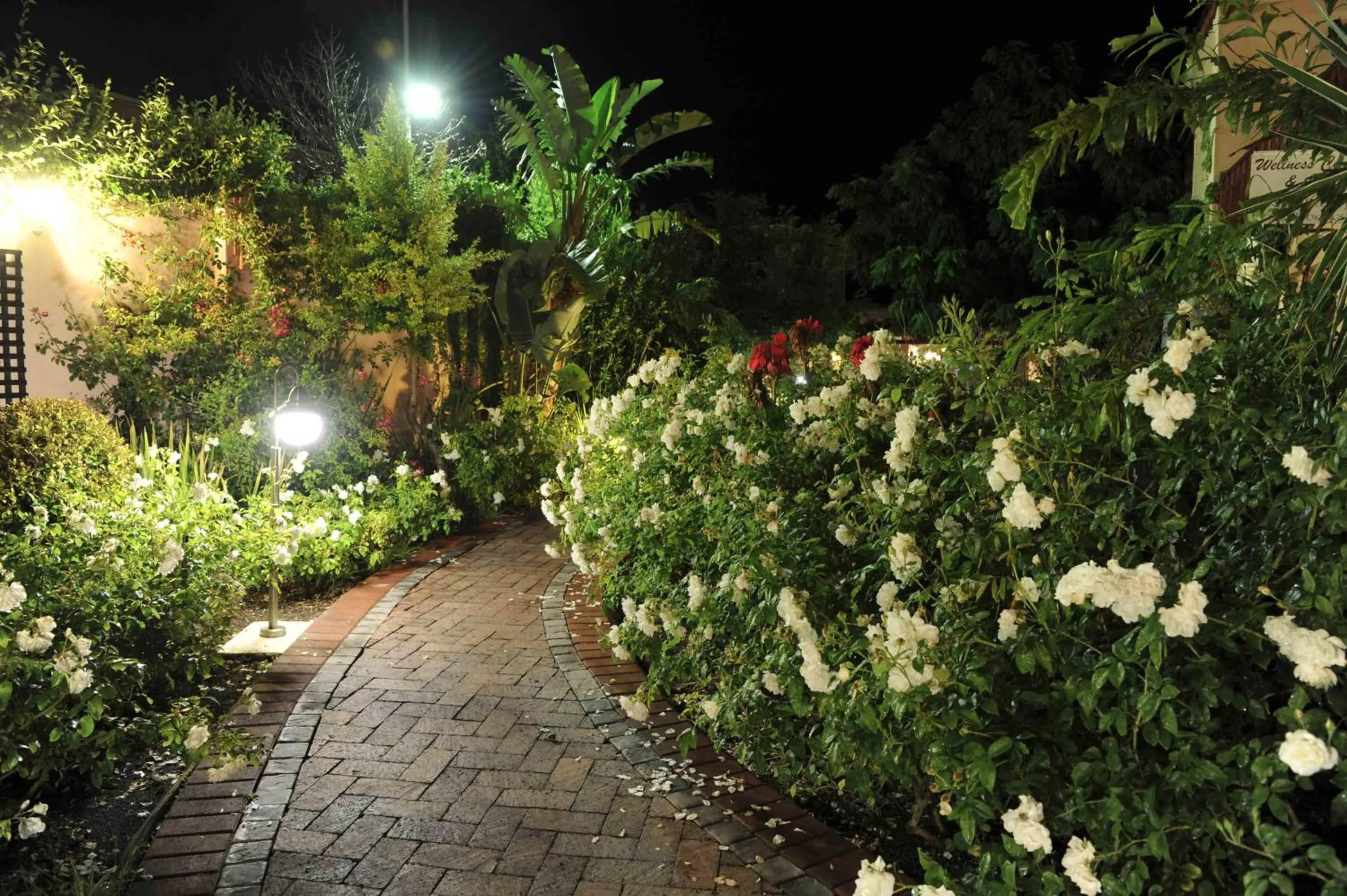 Garden in Montagu Country Hotel