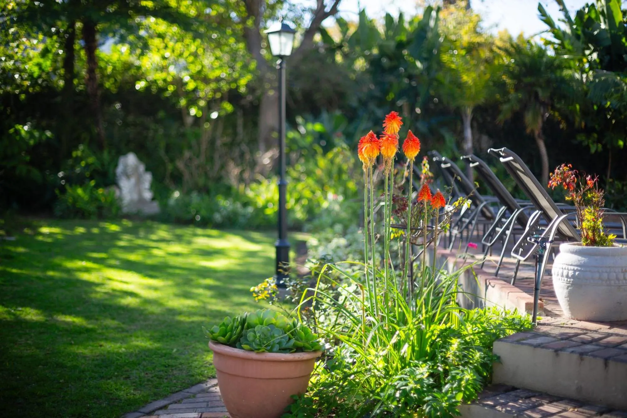 Garden in Montagu Country Hotel