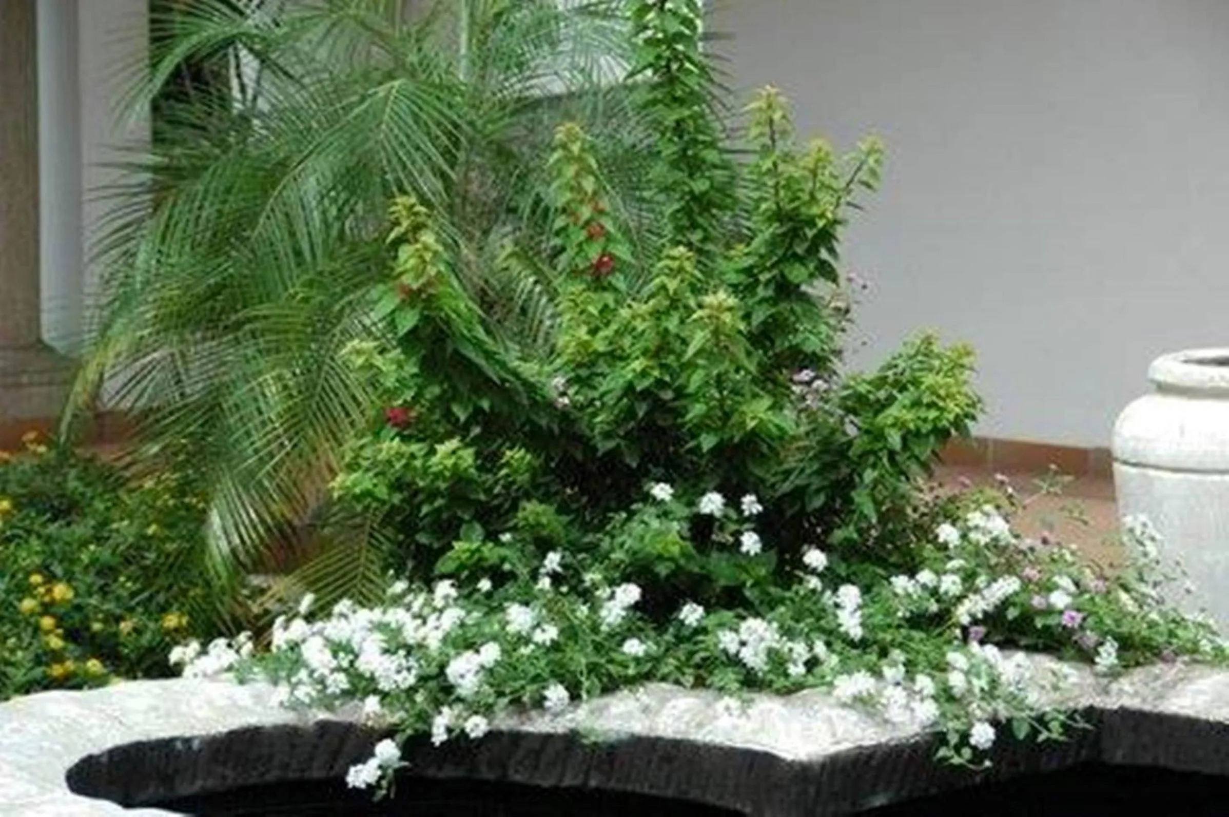 Facade/entrance in Centre Court B&B