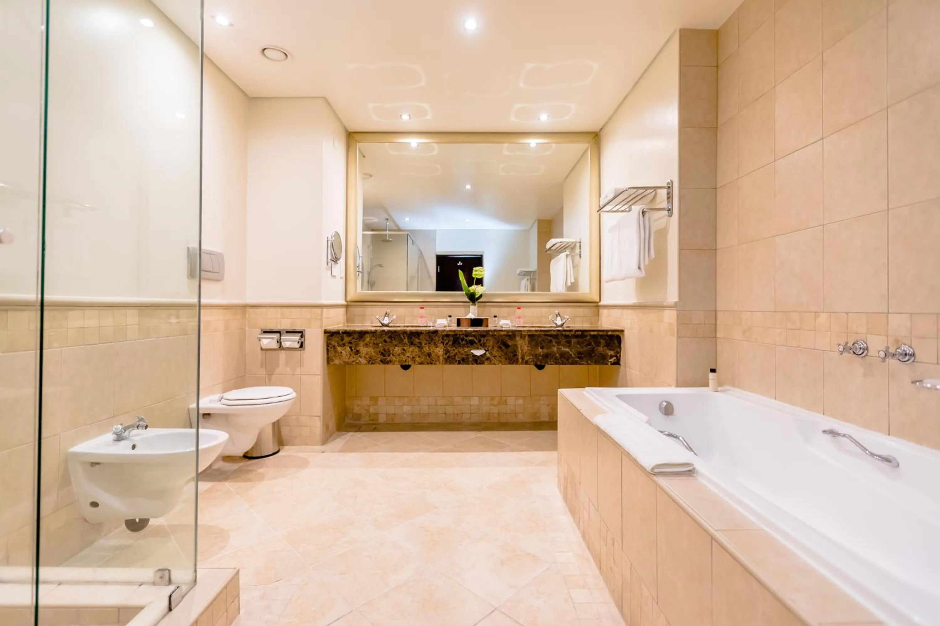 Shower in Southern Sun Sandton