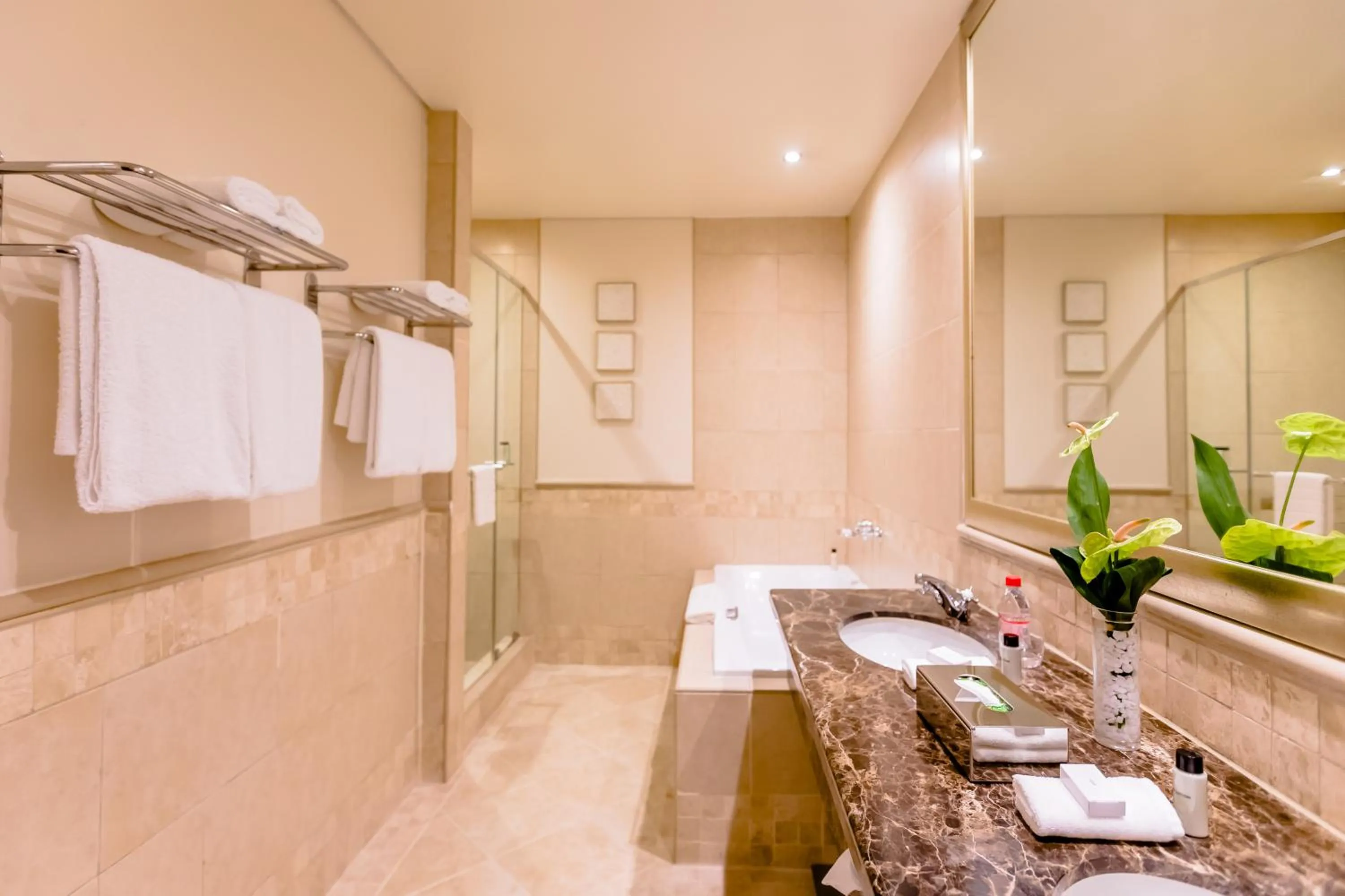 Shower, Bathroom in Holiday Inn Sandton, an IHG Hotel