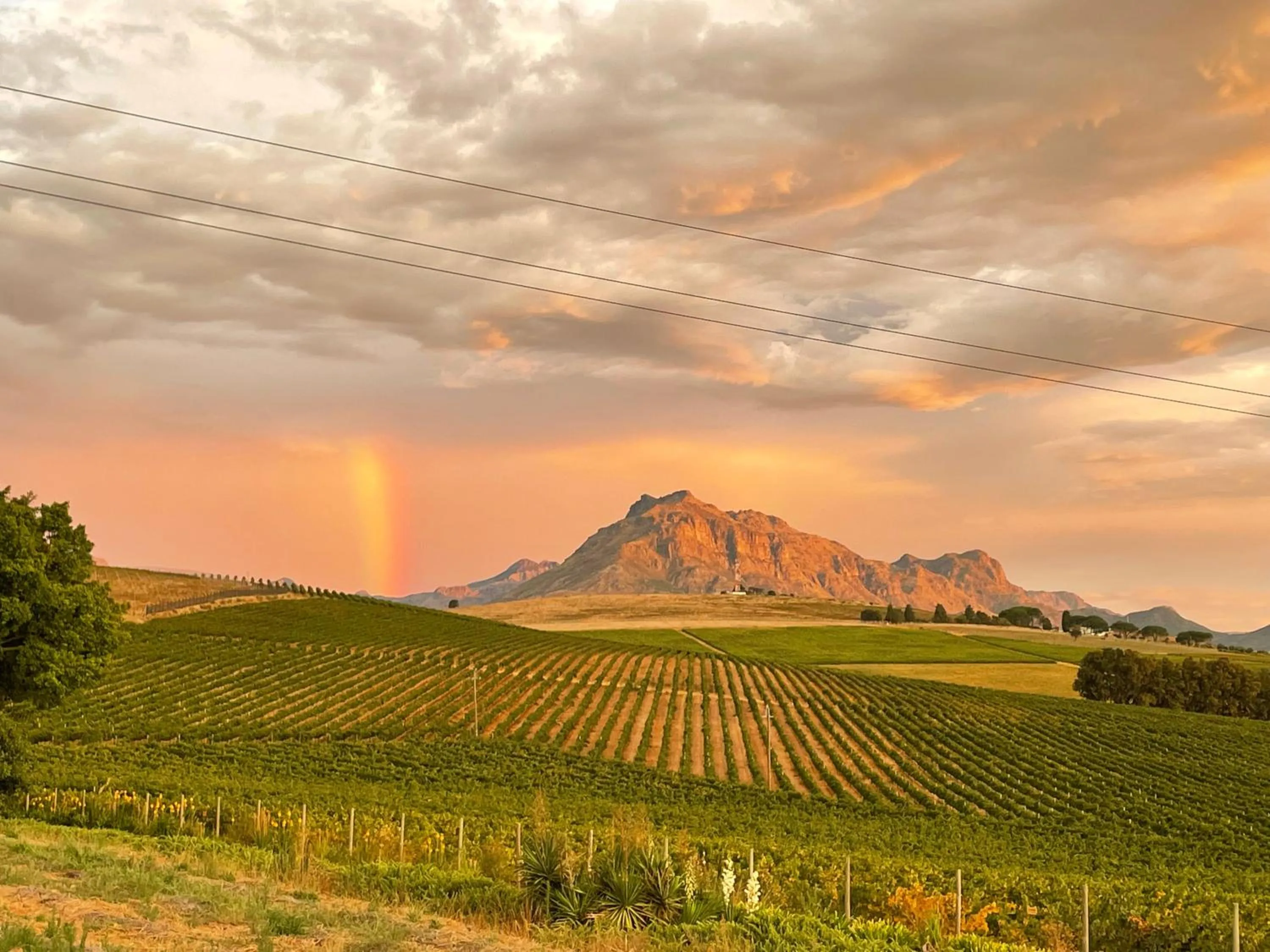 Natural landscape in Sugarbird Manor