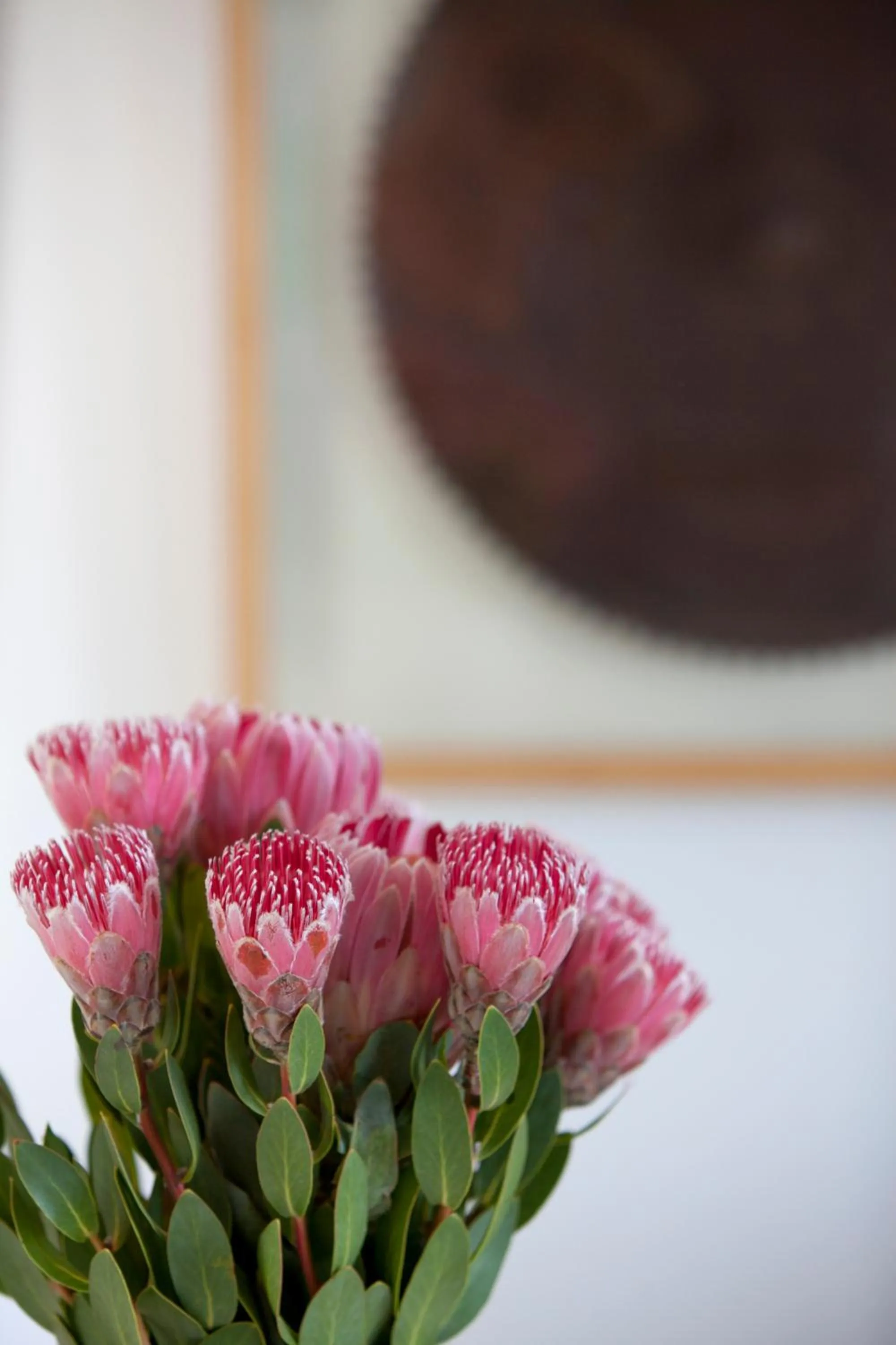 Natural landscape in Sugarbird Manor