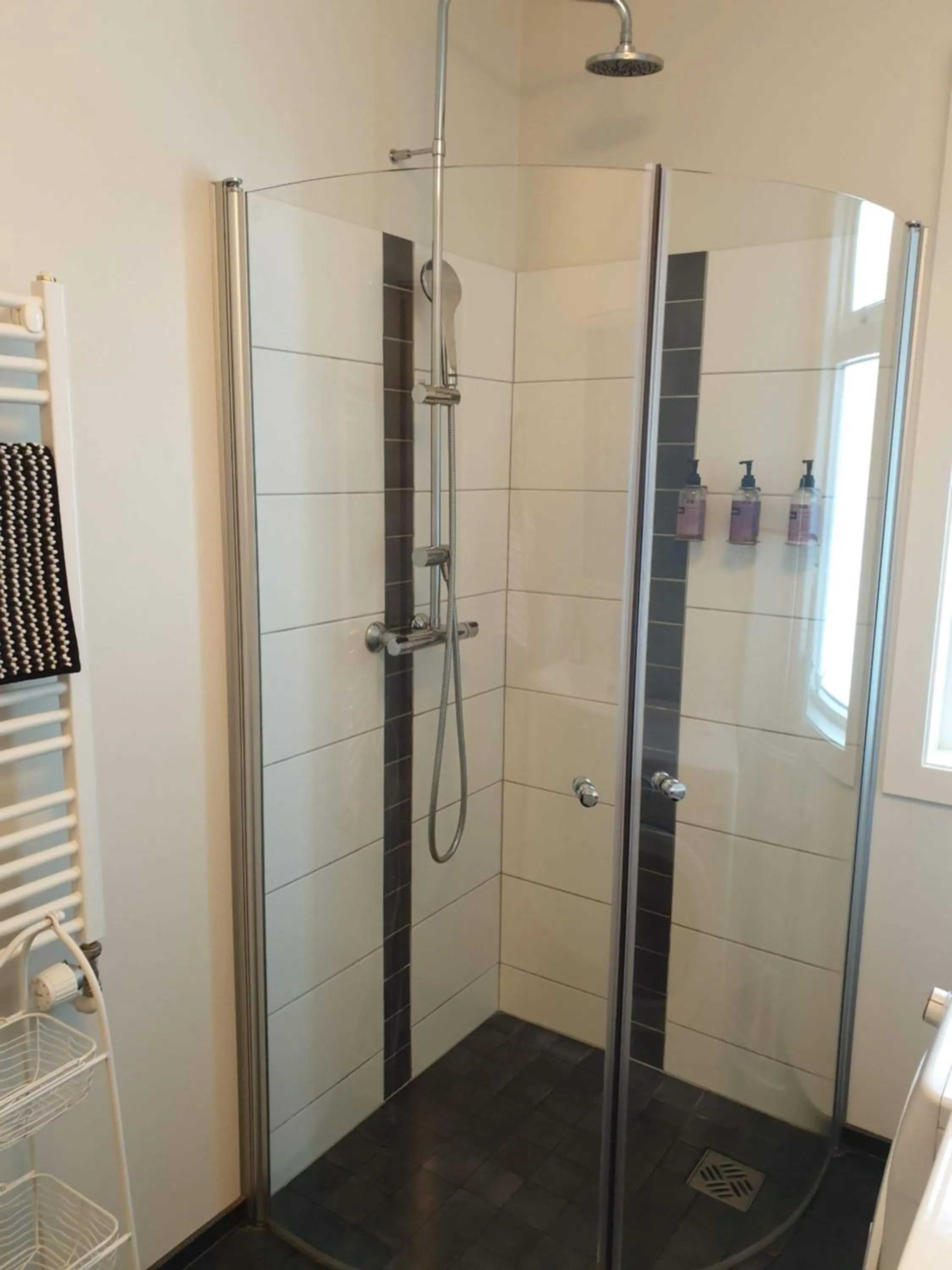 Bathroom in Breidamyri Farm Apartments