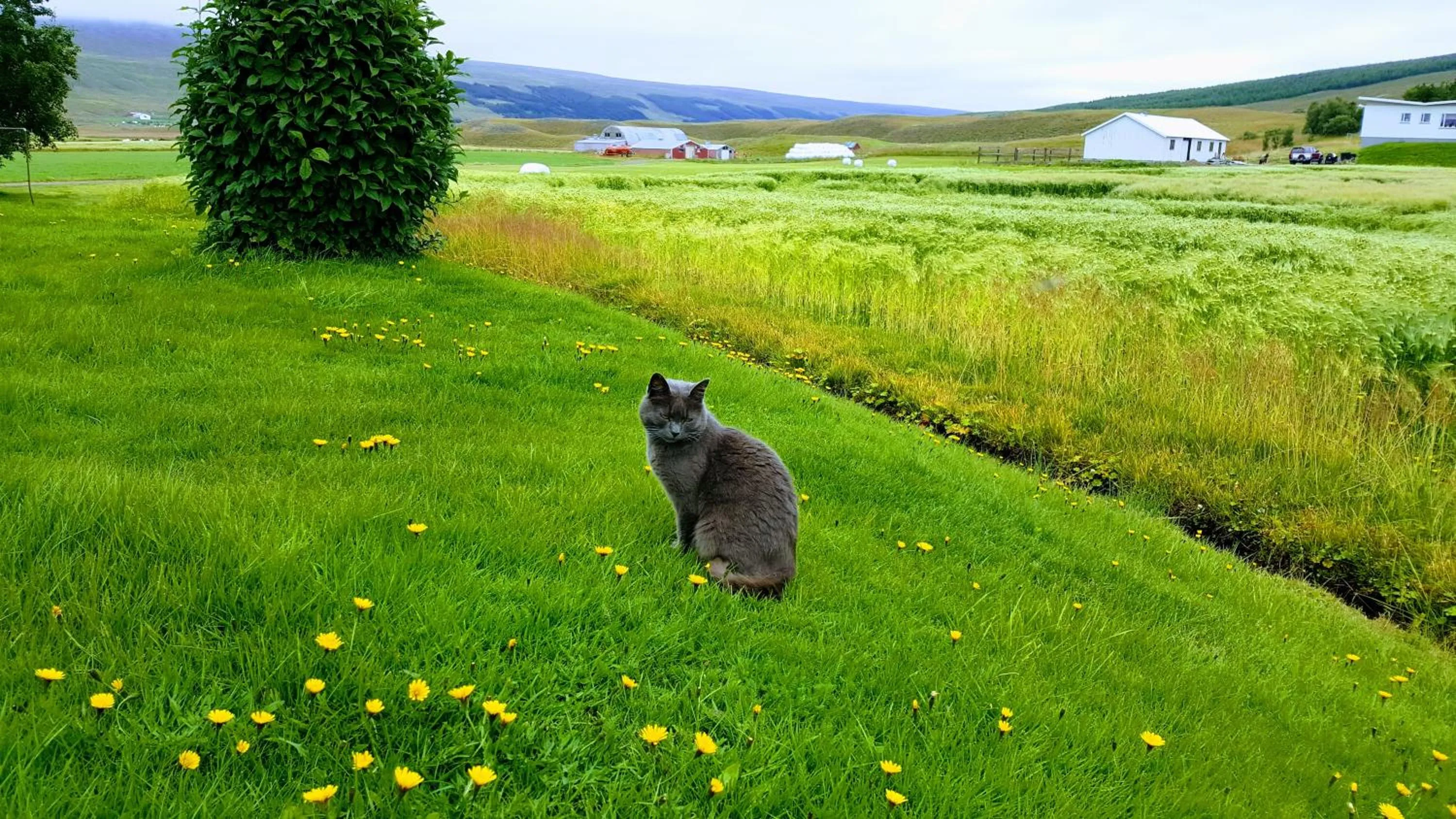 Neighbourhood in Breidamyri Farm Apartments