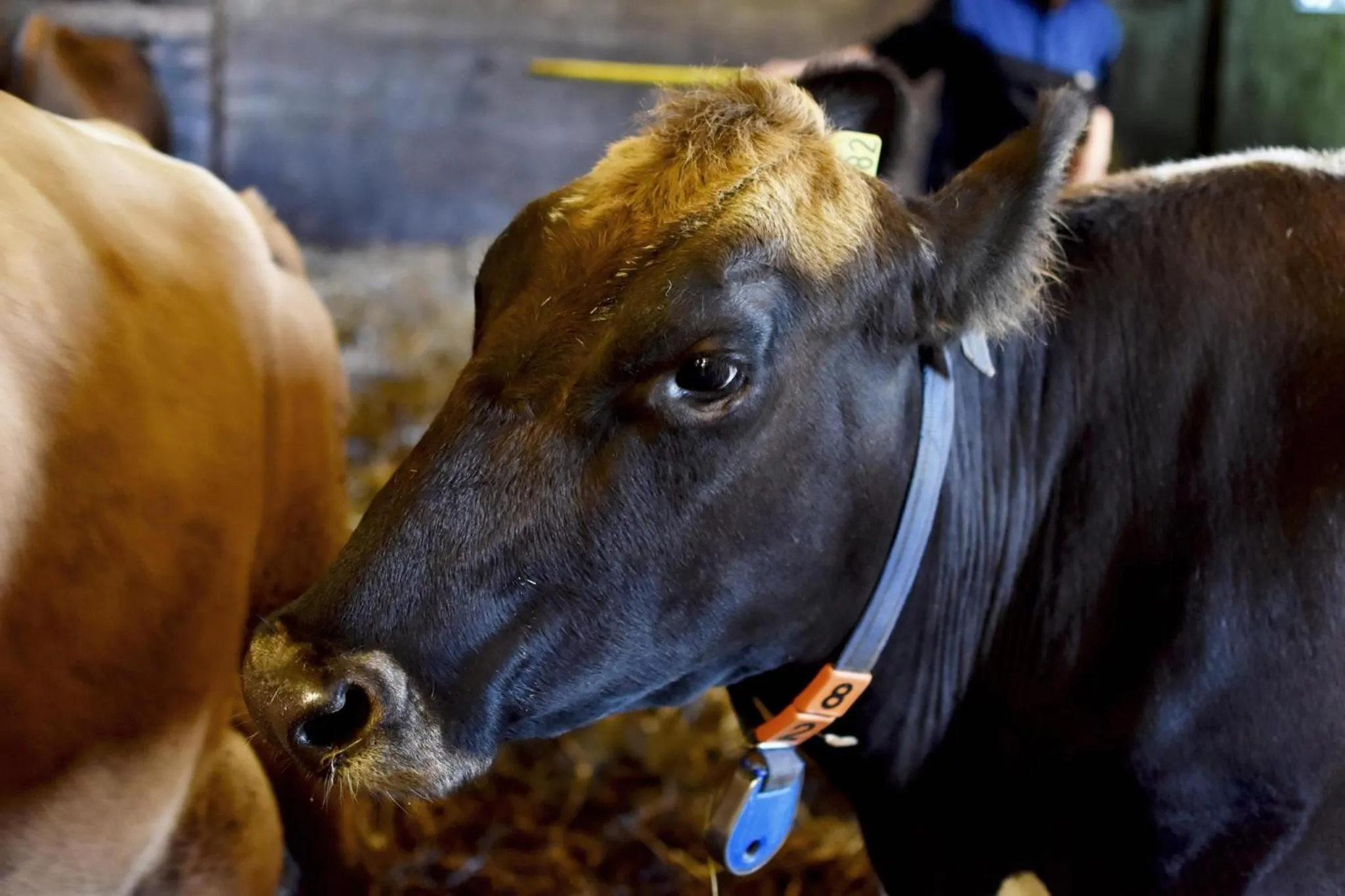 Property building in Breidamyri Farm Apartments