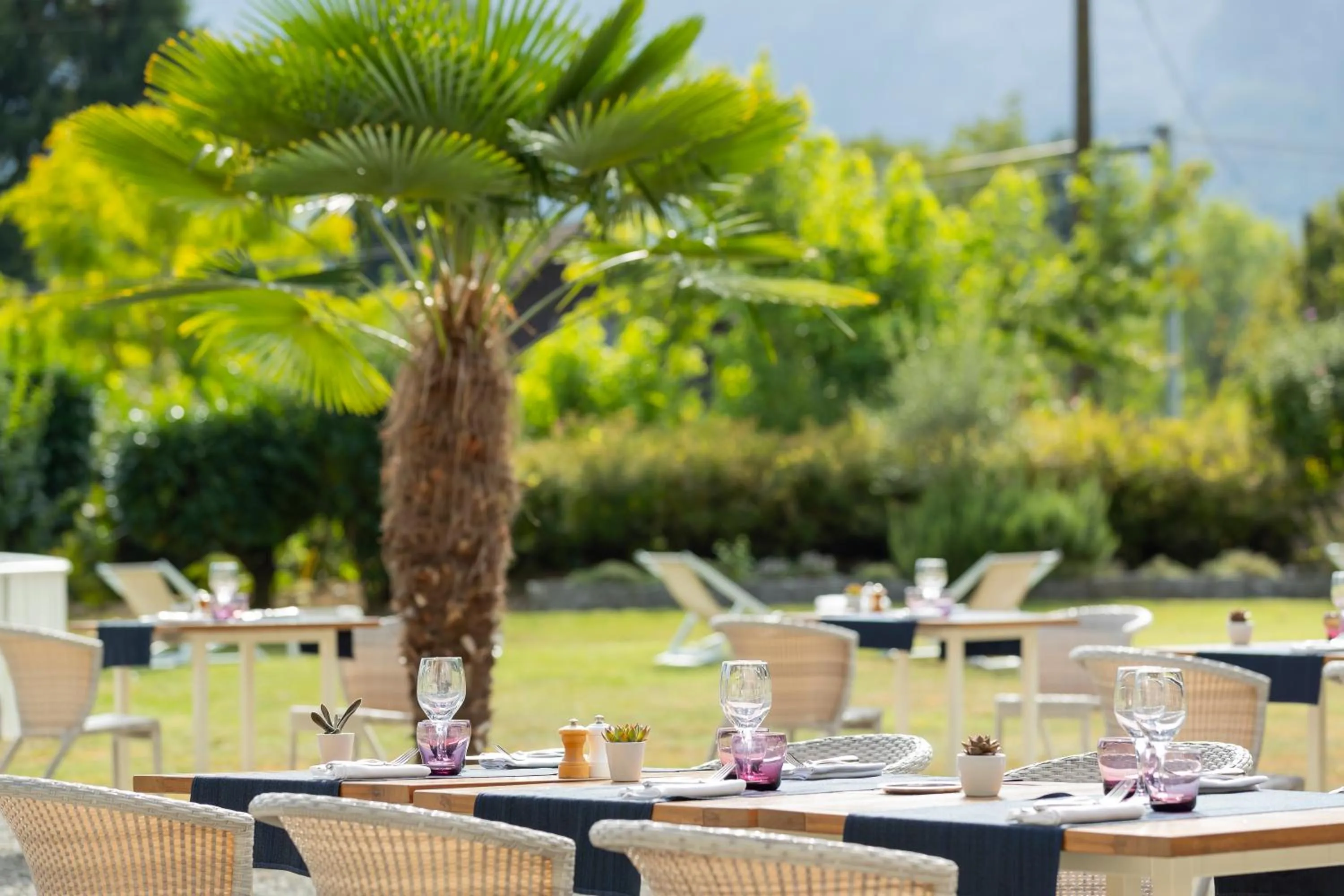 Garden in Hôtel Les Grillons
