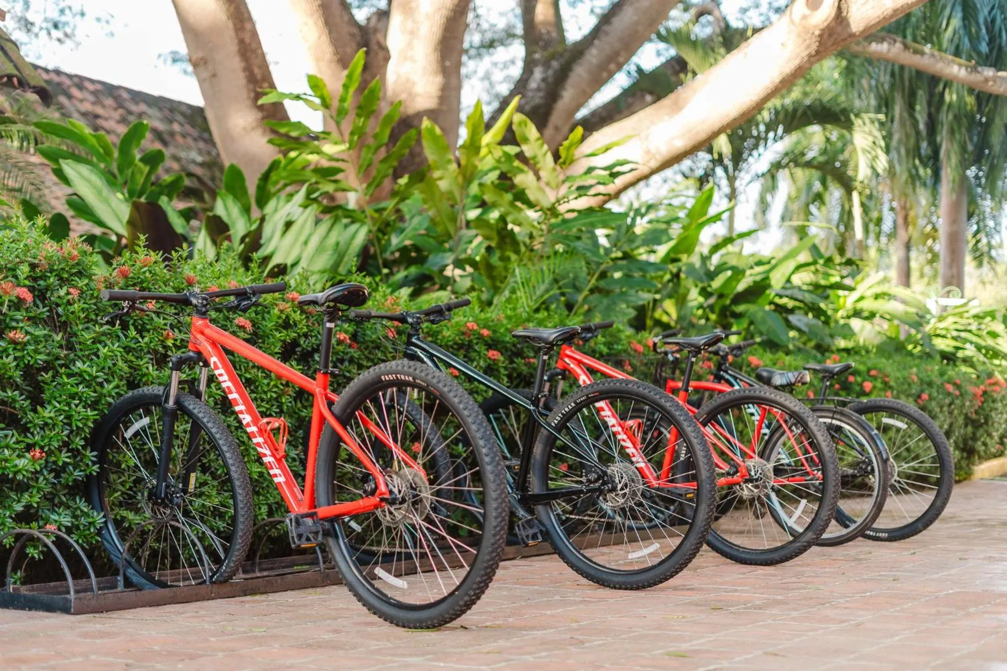 Activities in Papagayo Golden Palms Beachfront Hotel