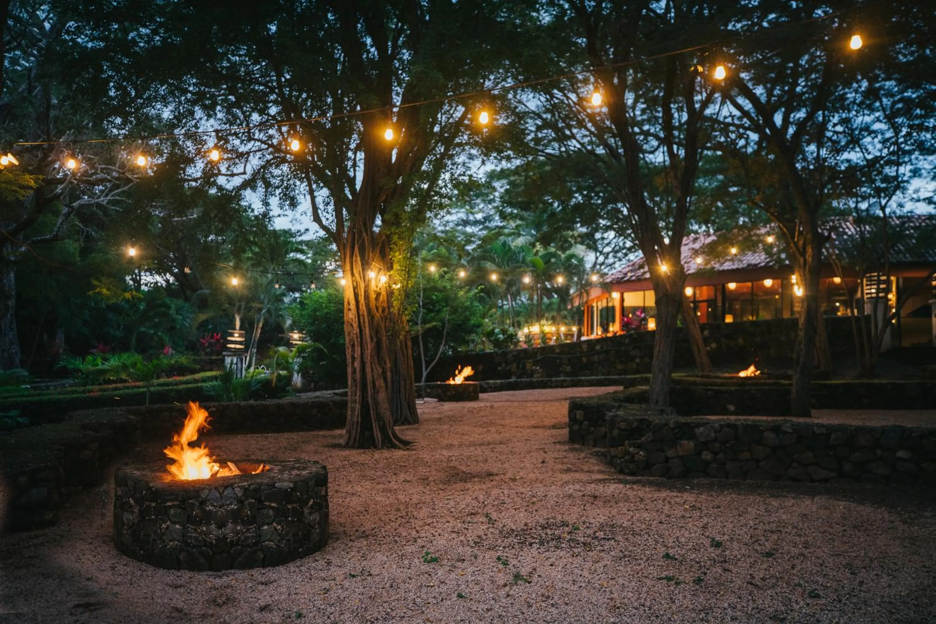 Natural landscape in Papagayo Golden Palms Beachfront Hotel