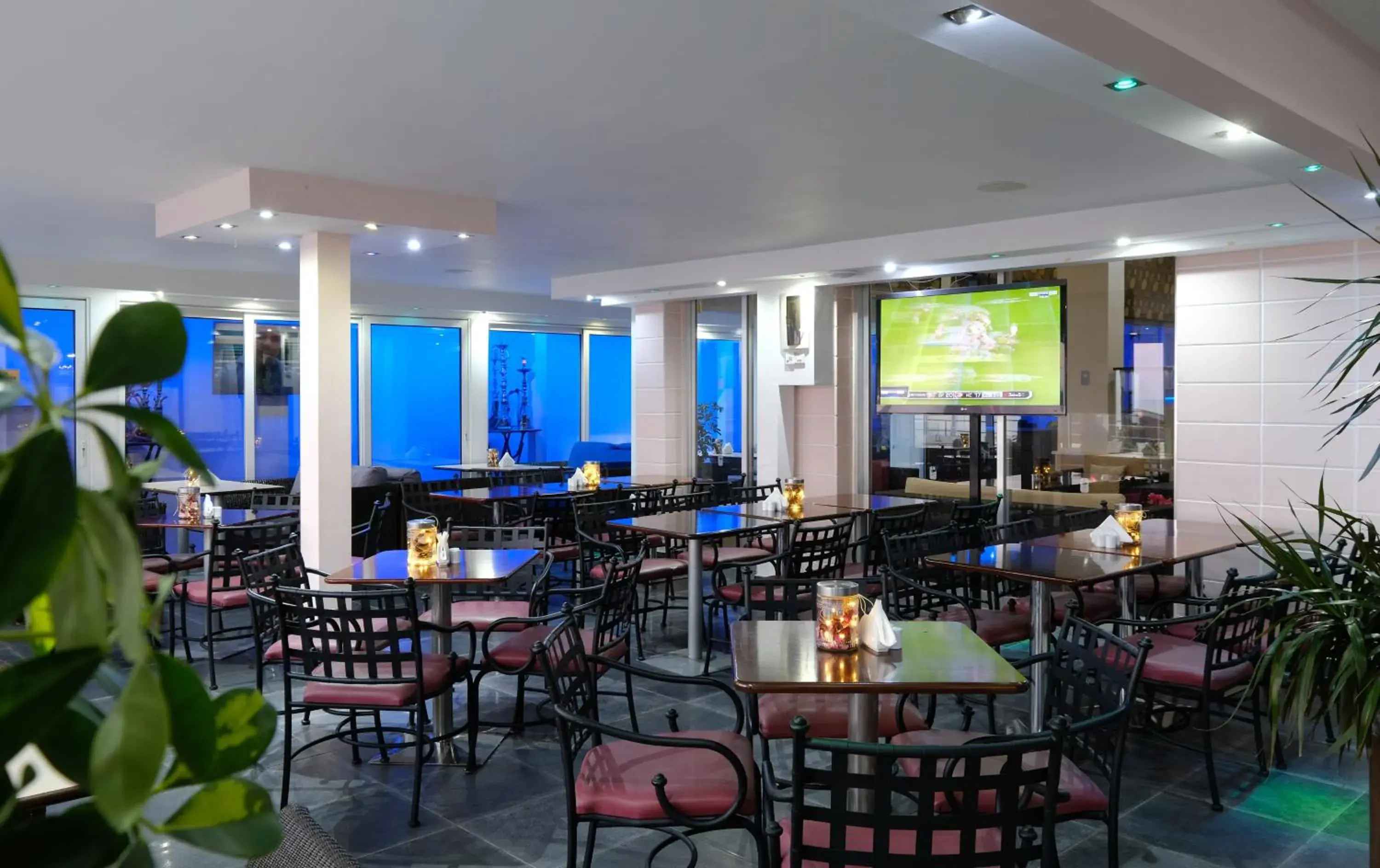 Lounge or bar, Restaurant/Places to Eat in Flamingo Beach Hotel