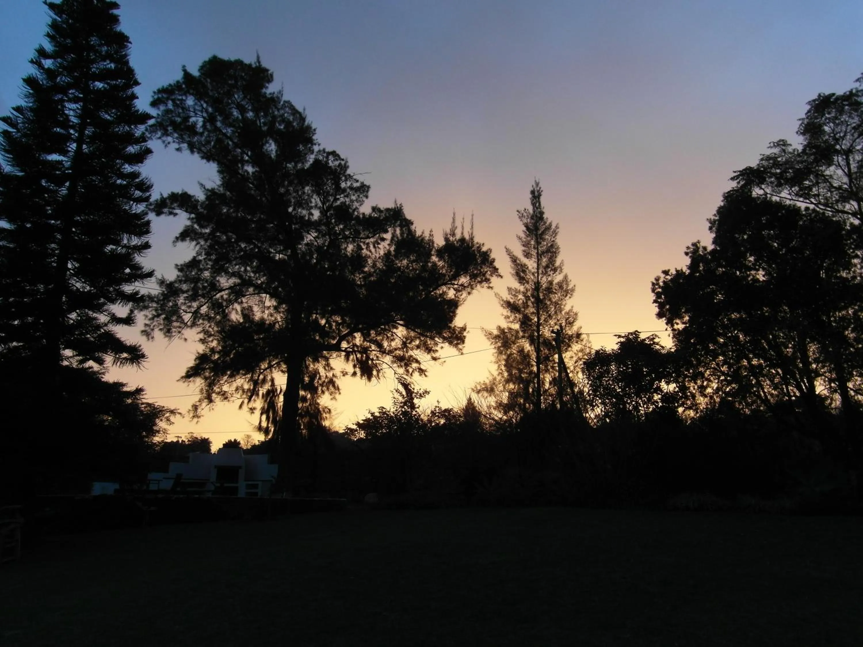 Garden in Marula Lodge