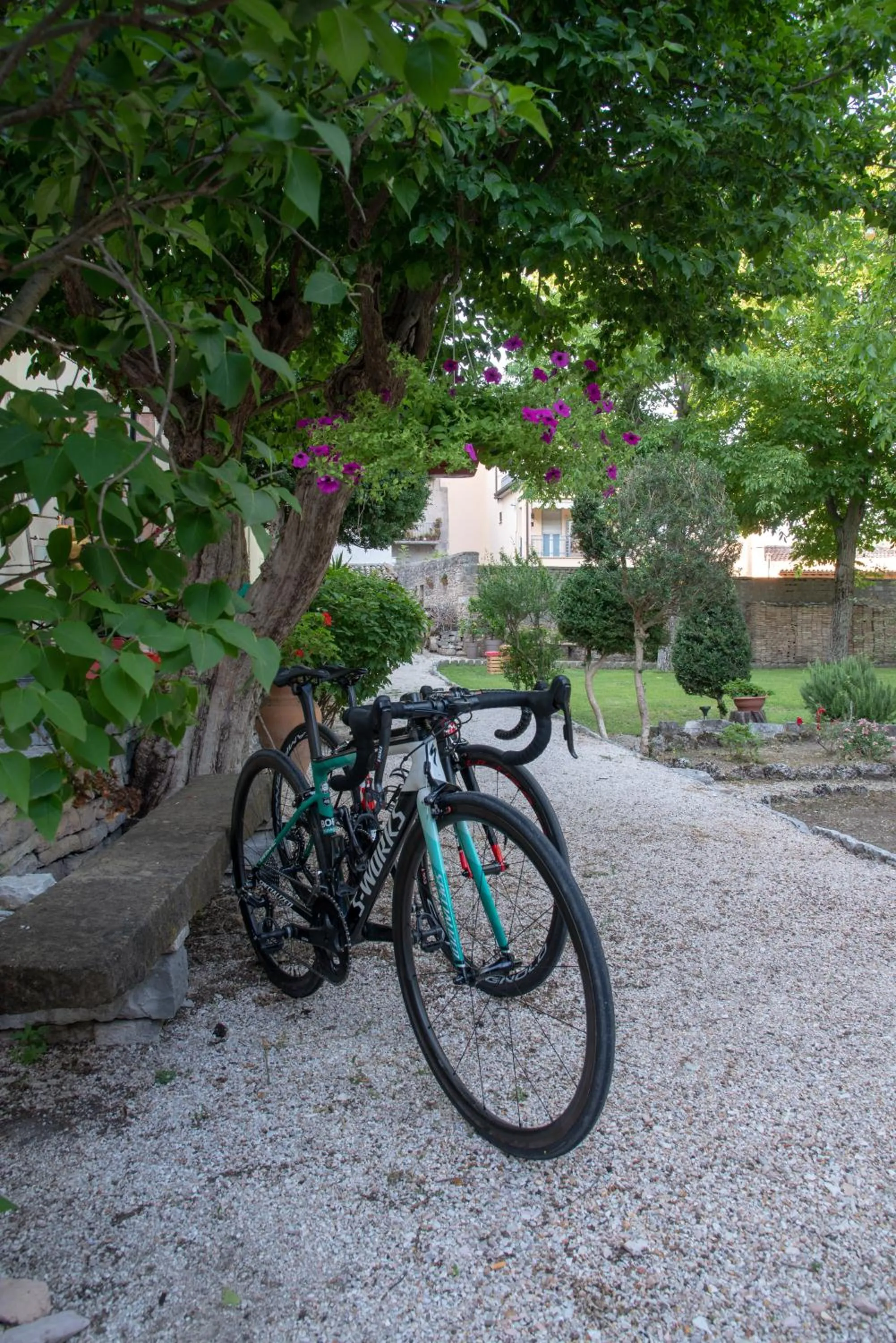B&B Relais Druda