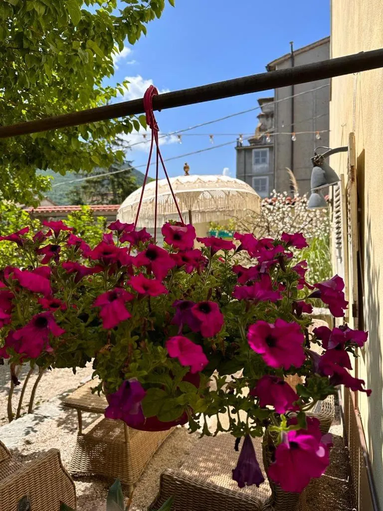 B&B Relais Druda