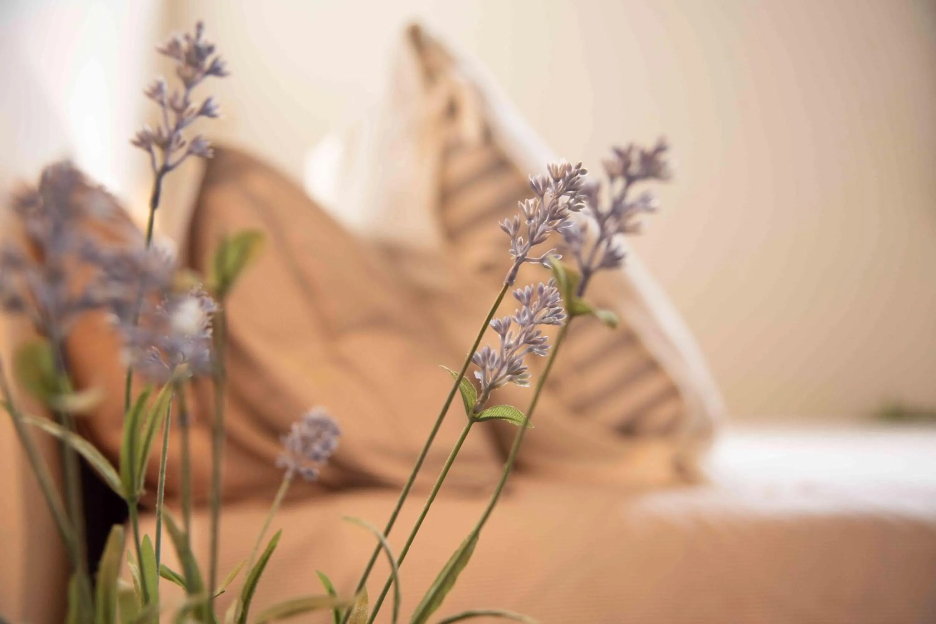 B&B Relais Druda