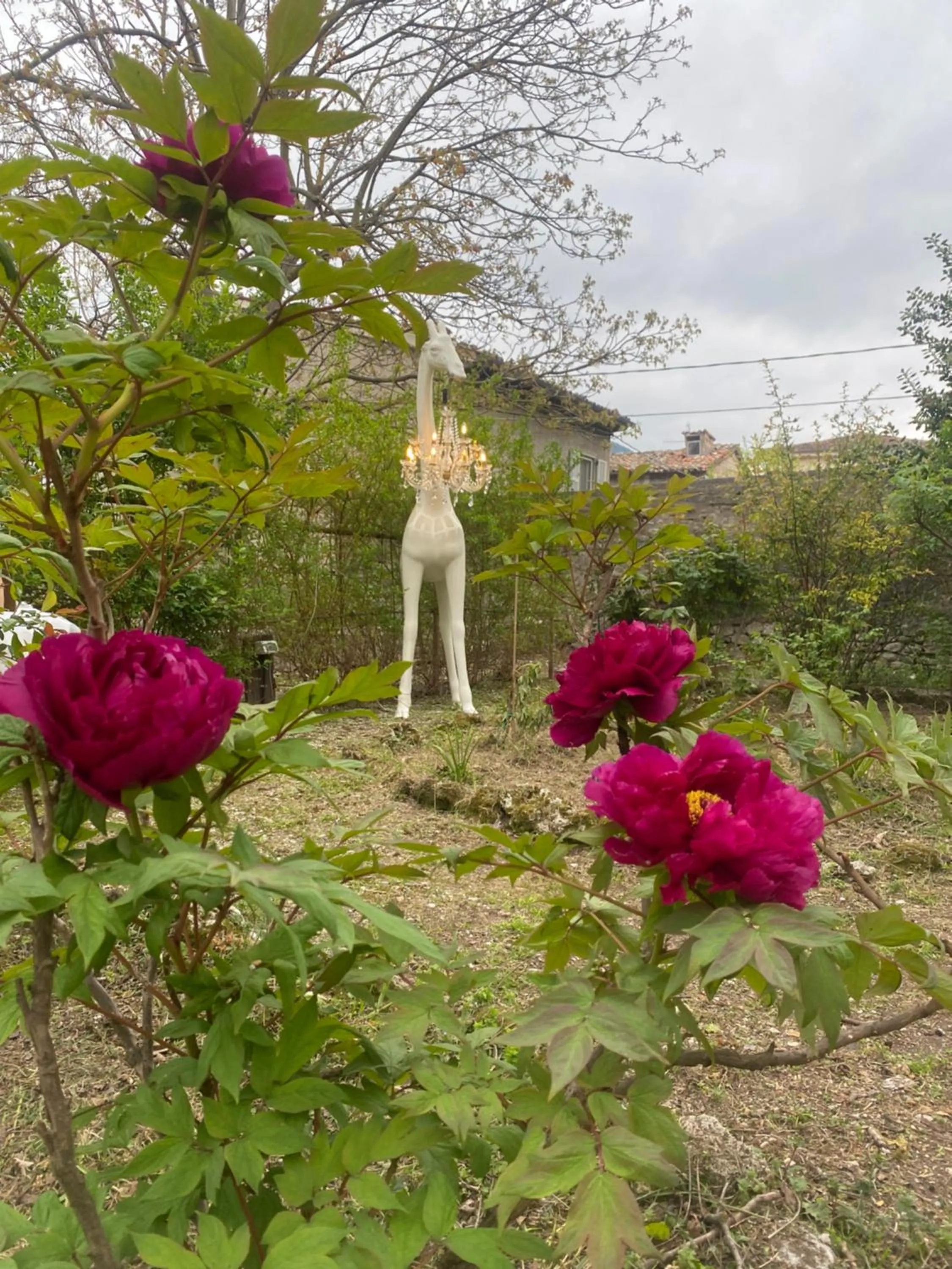 B&B Relais Druda