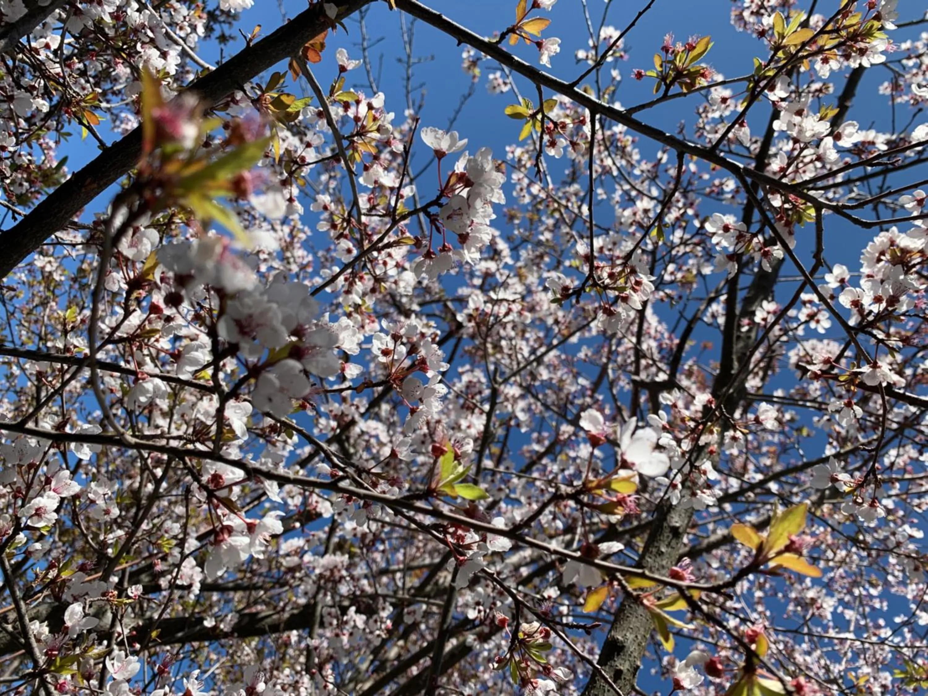 Other in Plumwood Boutique Hotel by The Living Journey Collection