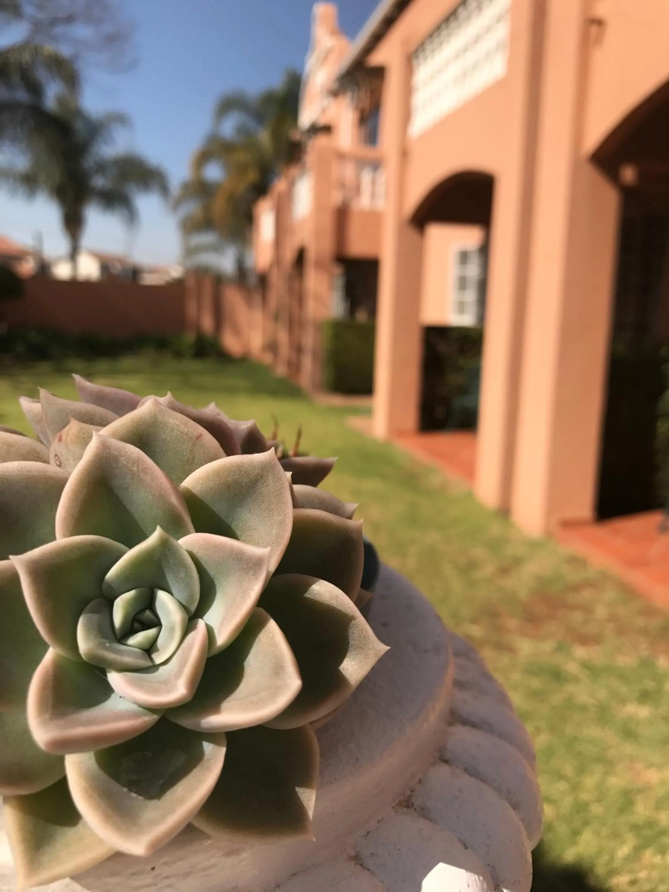 Garden in The Elegant Lodge Menlo Park