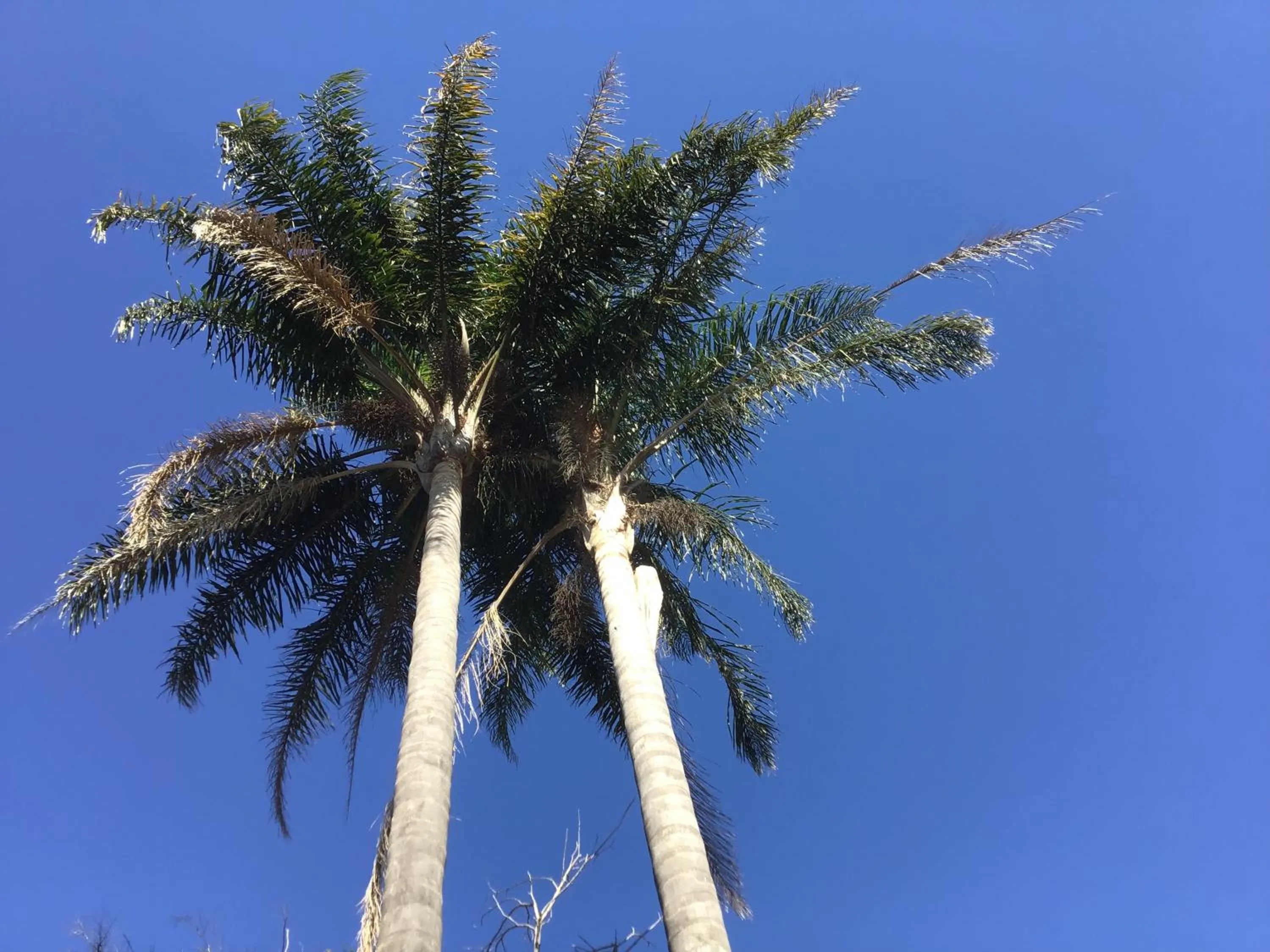 Serenity by the Lake