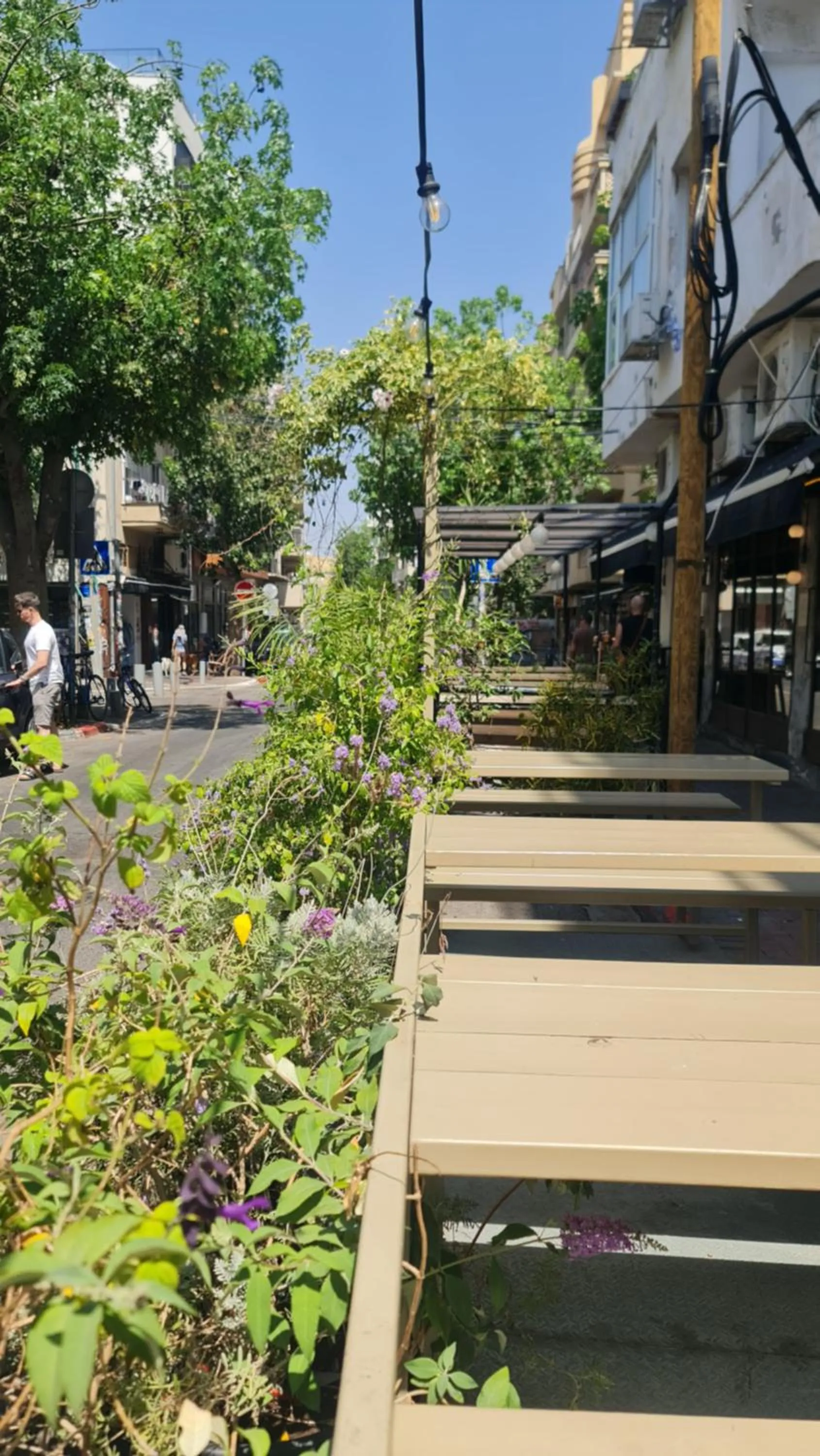 Property building in Florentin House - By HOMY