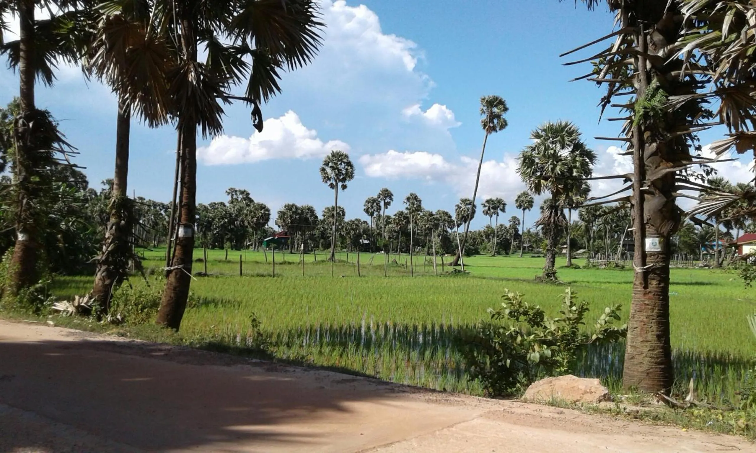 Phalla Riverside
