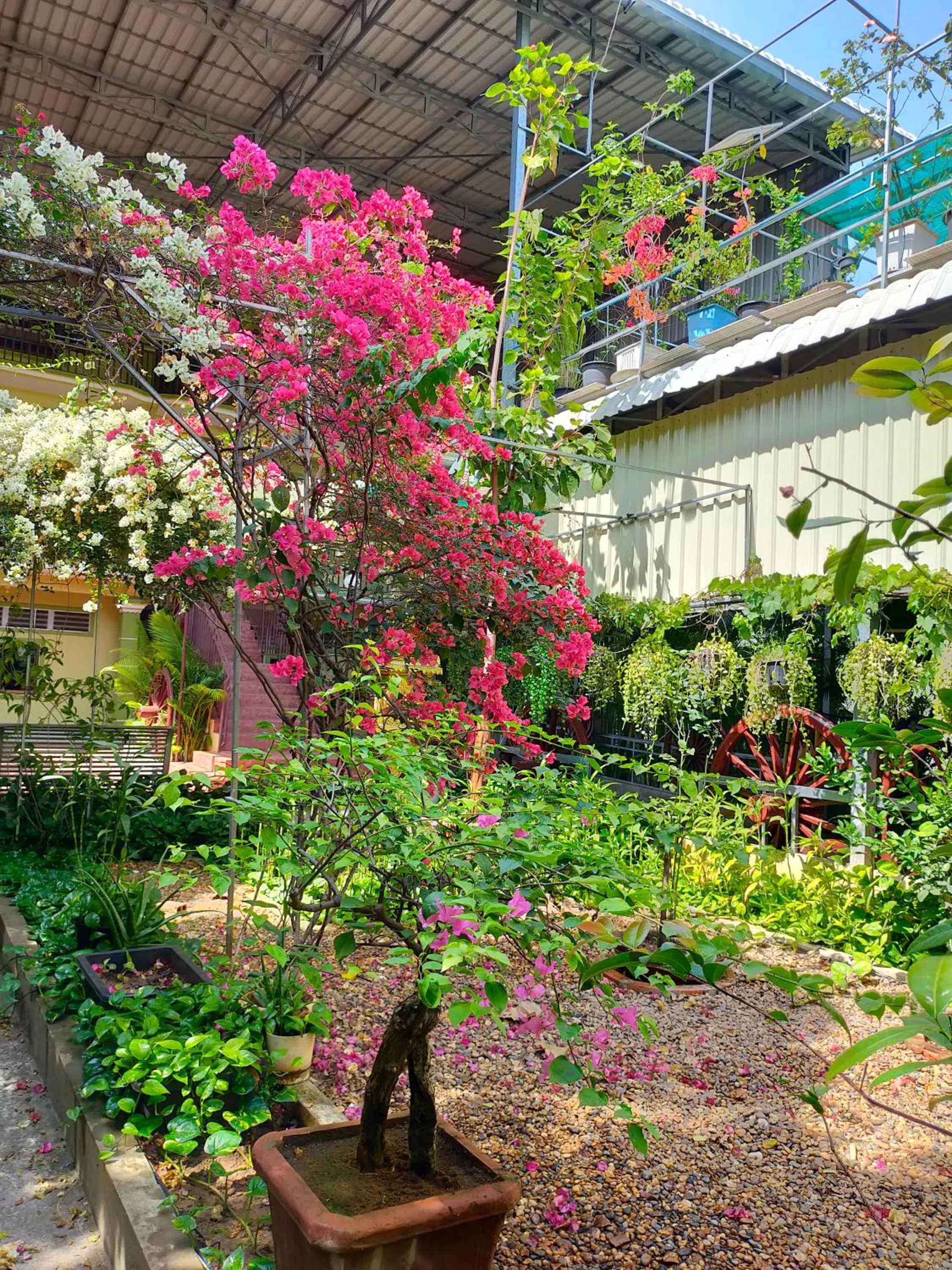 Phalla Riverside