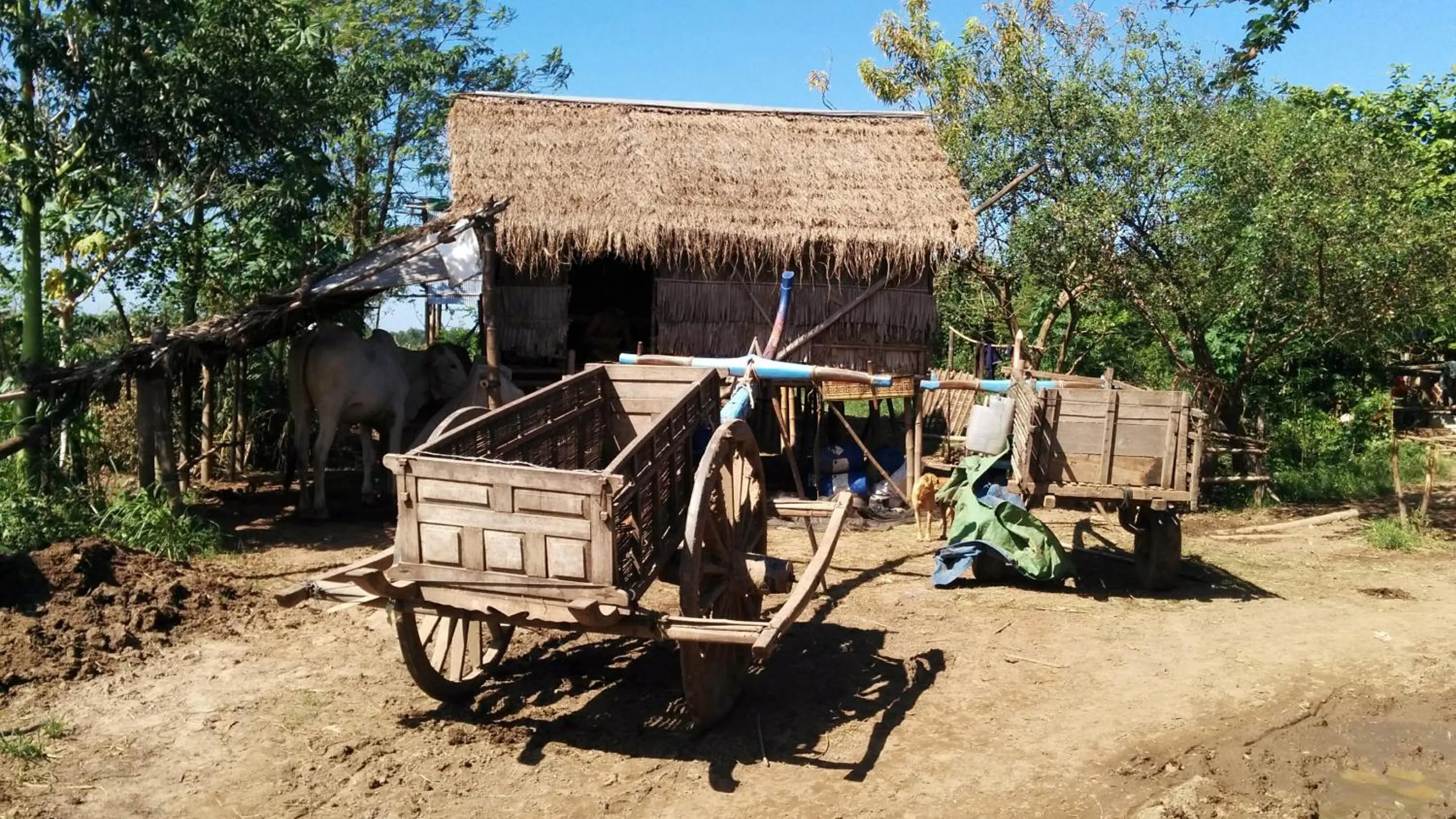 Activities in Phalla Riverside